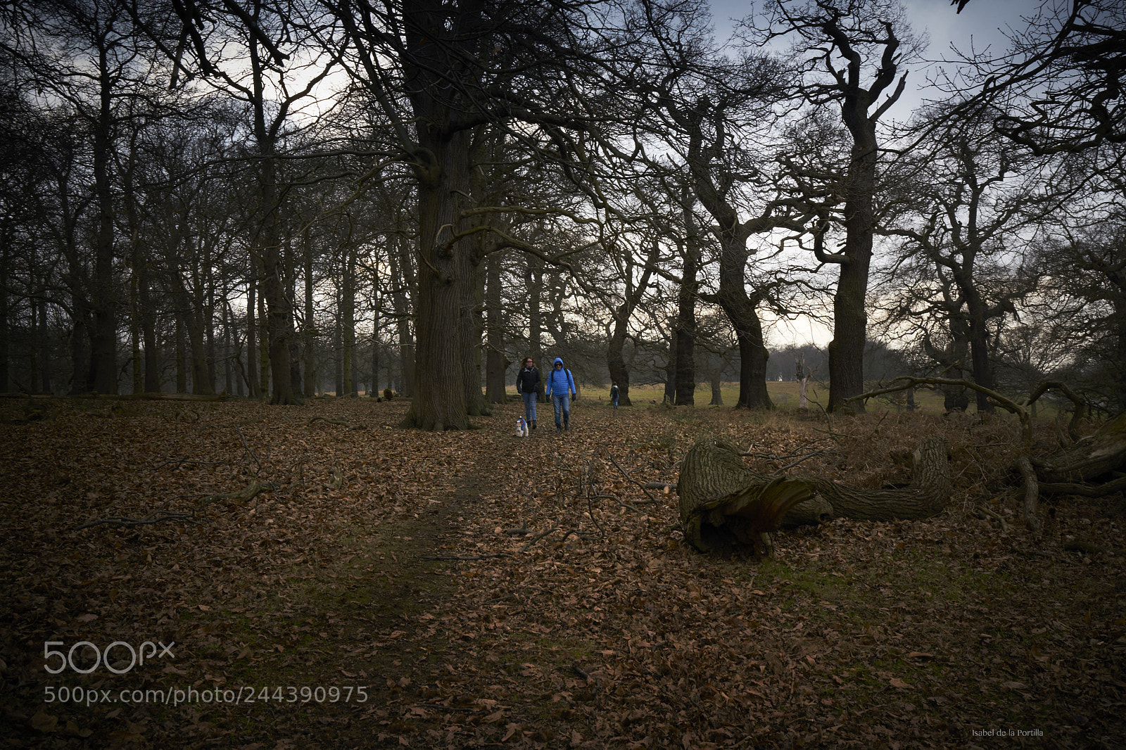 Sony a7R II sample photo. Ritchmond walking hector in photography
