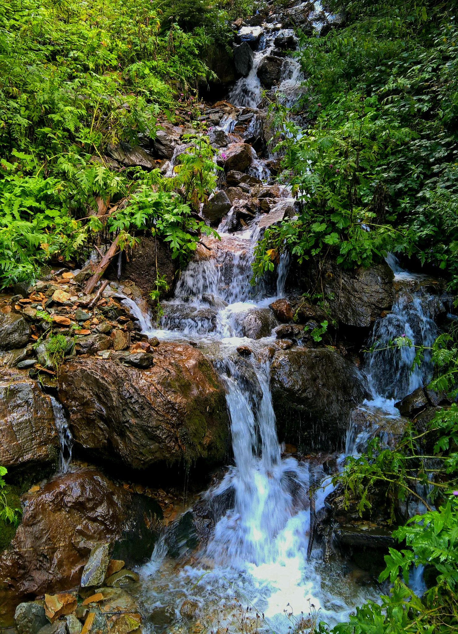 Microsoft Lumia 640 XL sample photo