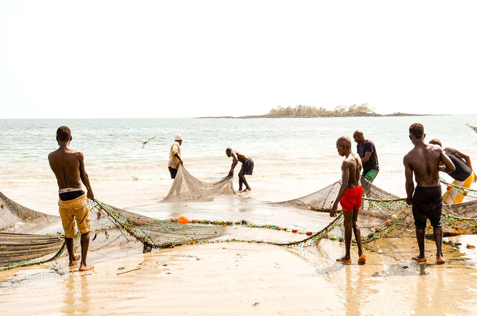Nikon D5100 sample photo. Working fishermen photography