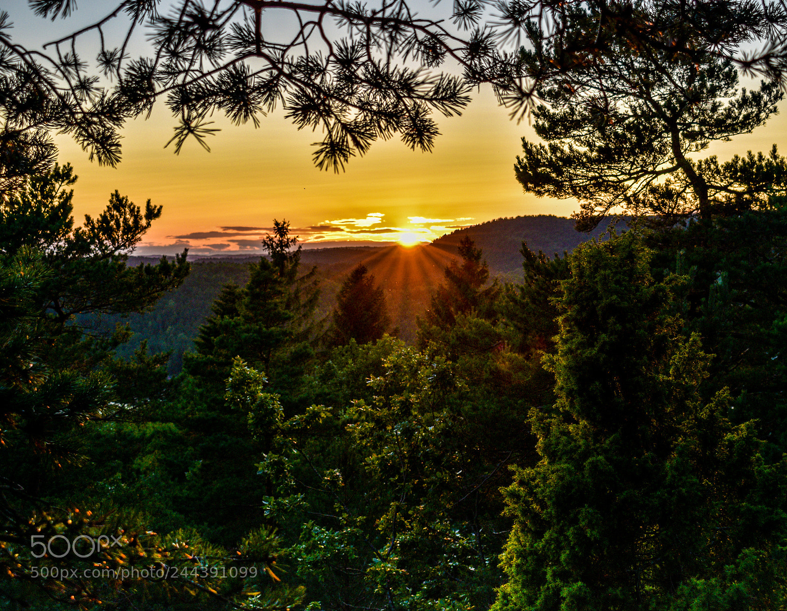 Nikon D5600 sample photo. Sunset in norway photography