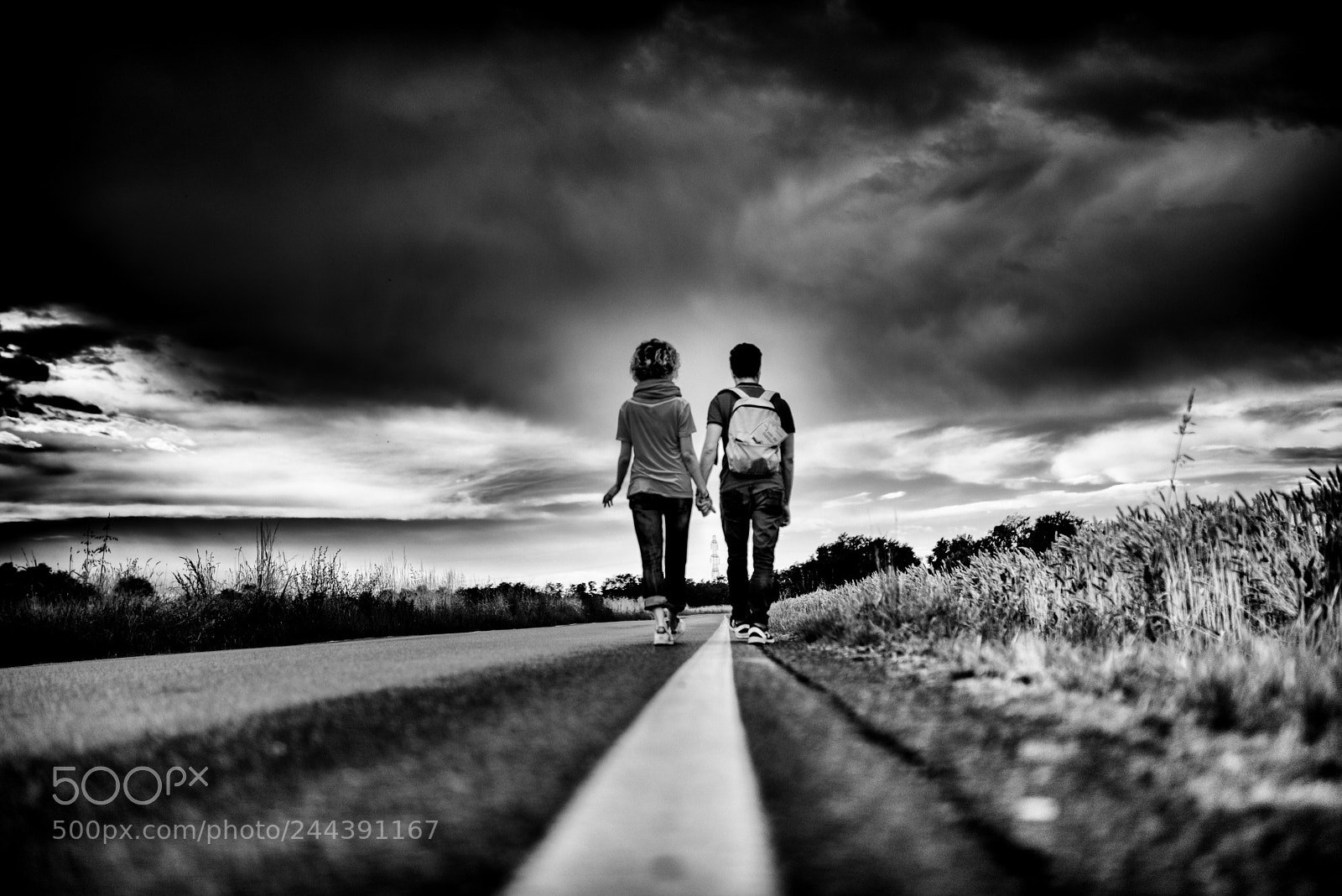 Nikon D810 sample photo. Right way photography
