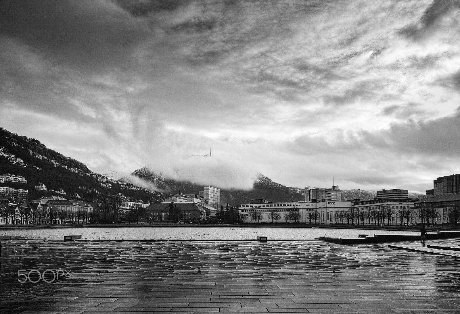 Sigma DP1 Merrill sample photo. Bergenscape photography