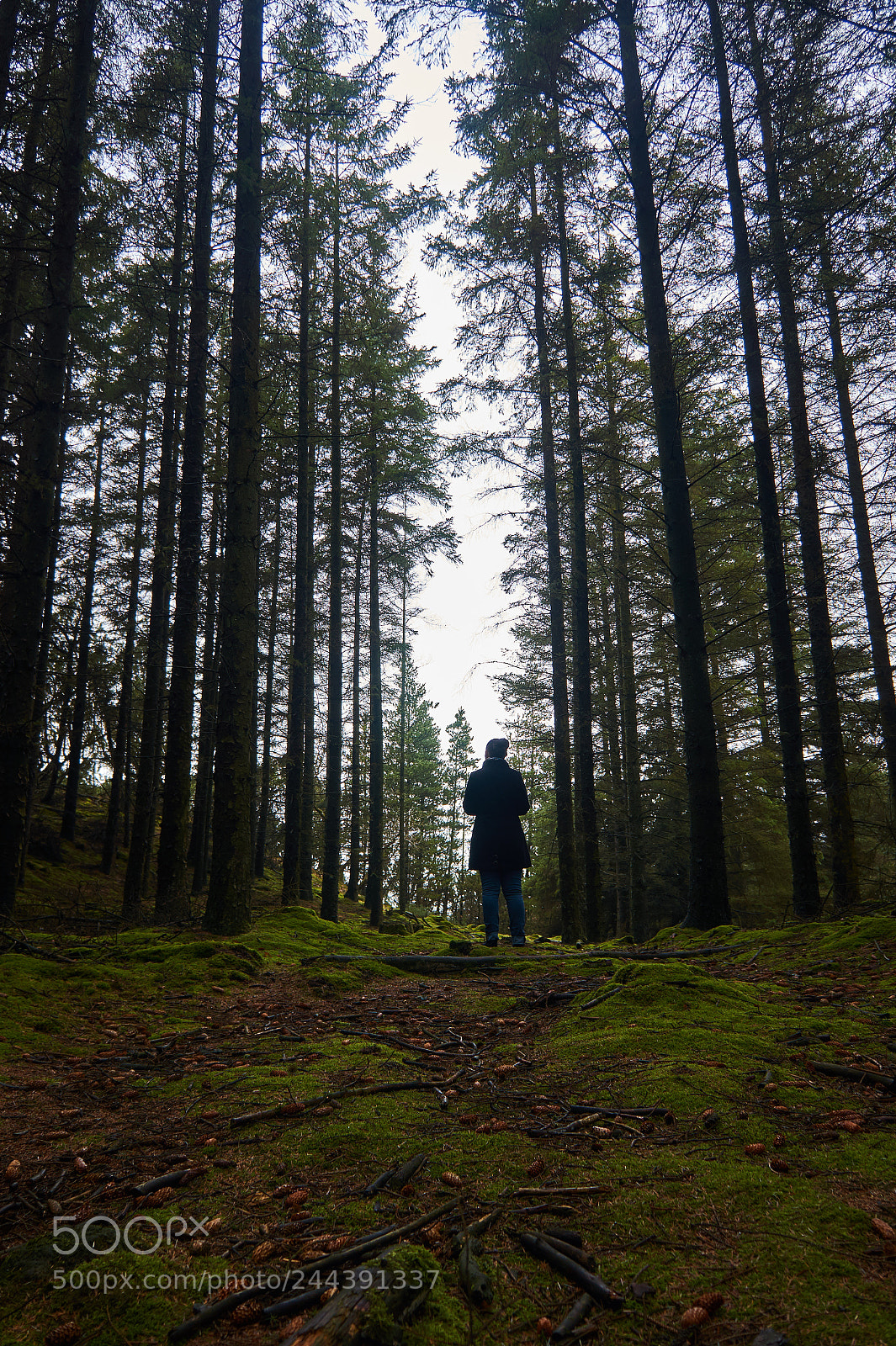 Sony Alpha a3000 sample photo. Hike photography