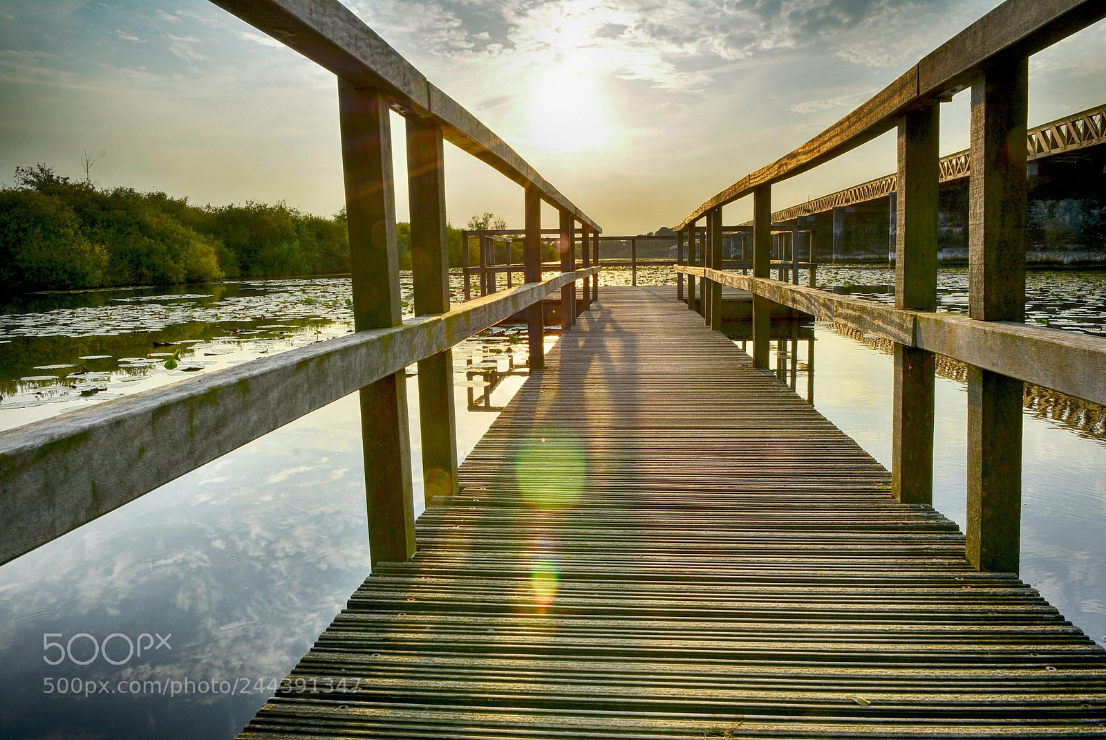 Nikon D7100 sample photo. Moerputten photography