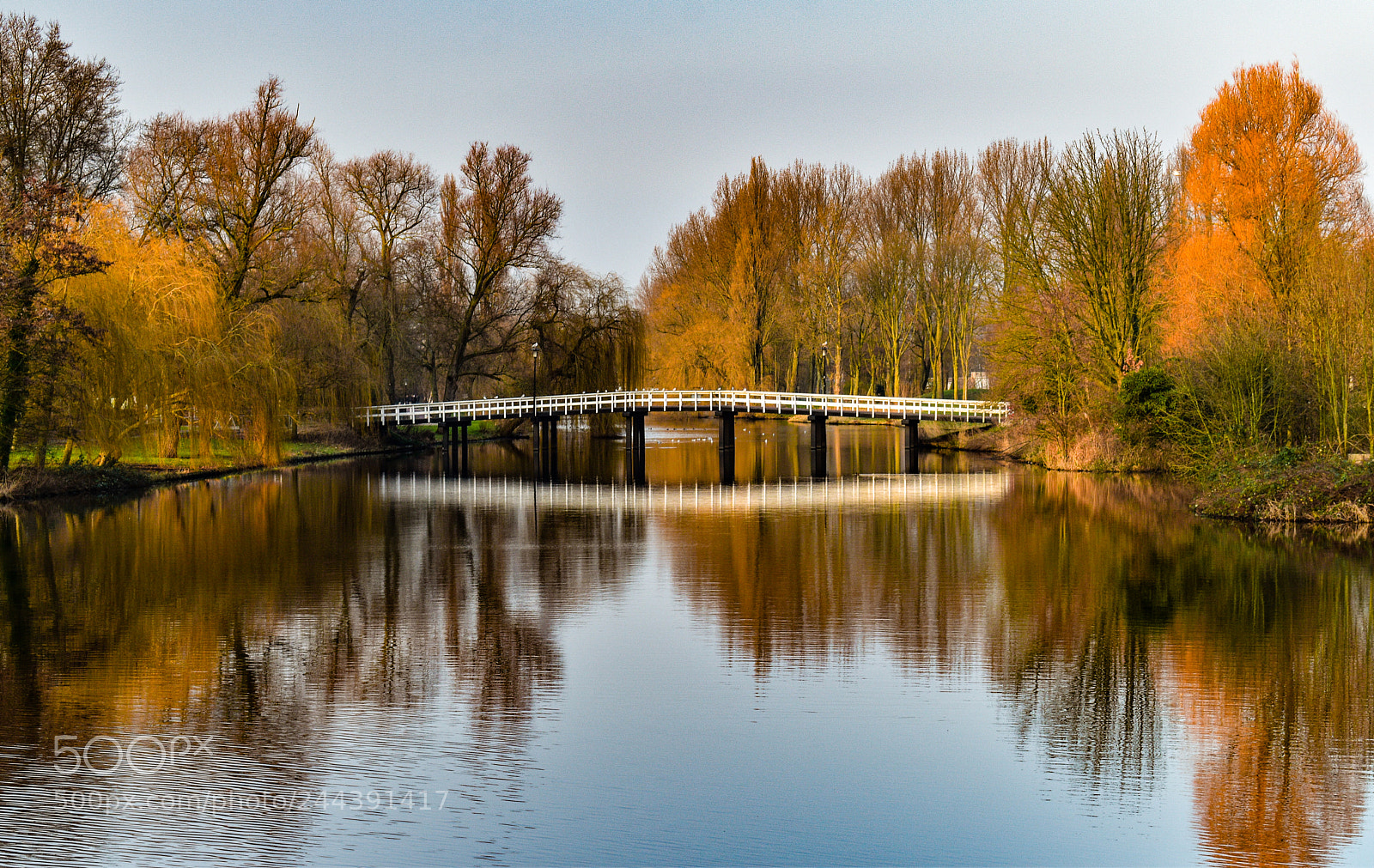 Nikon D5600 sample photo. Bridge with water reflection photography
