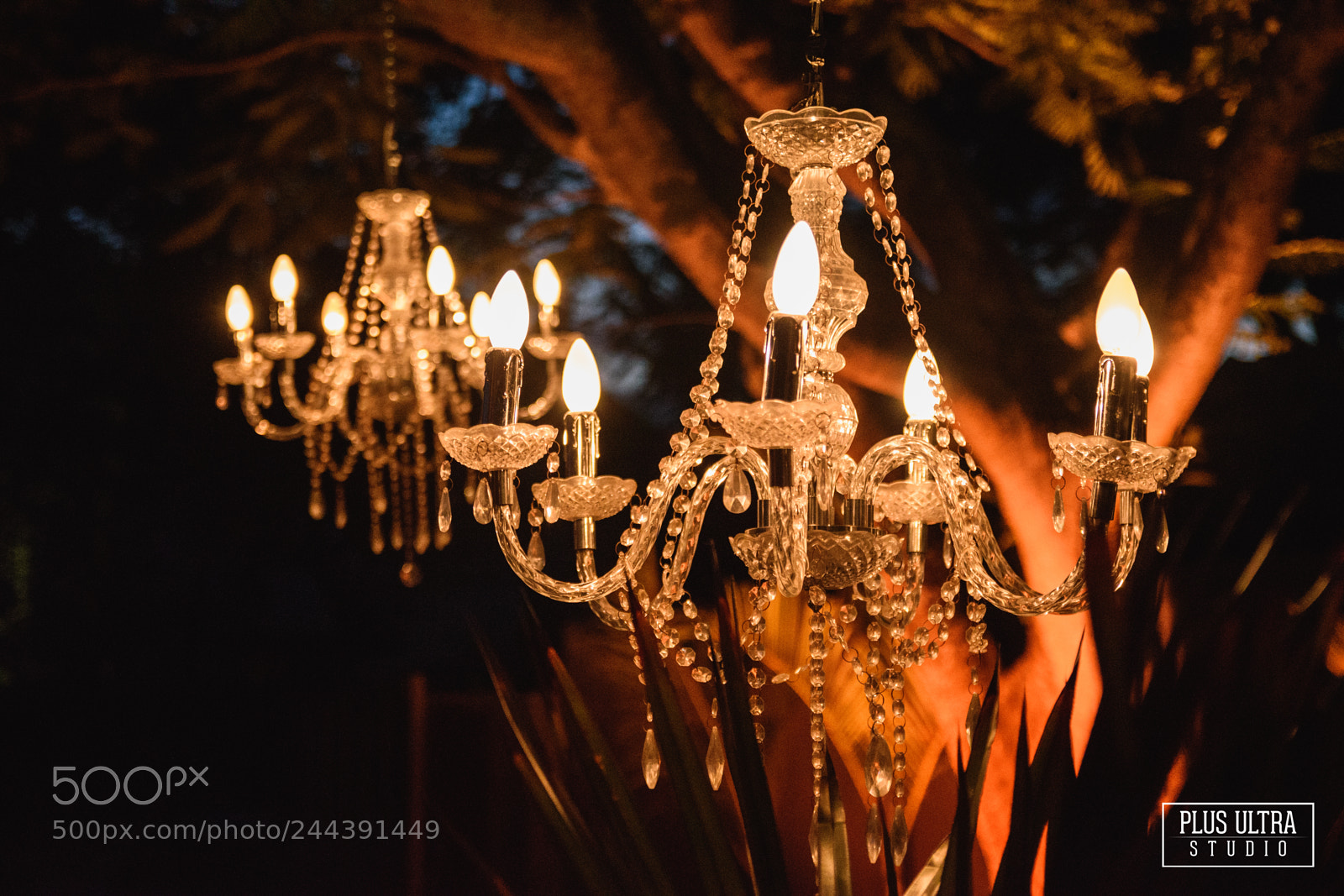 Nikon D5500 sample photo. Untitled photography
