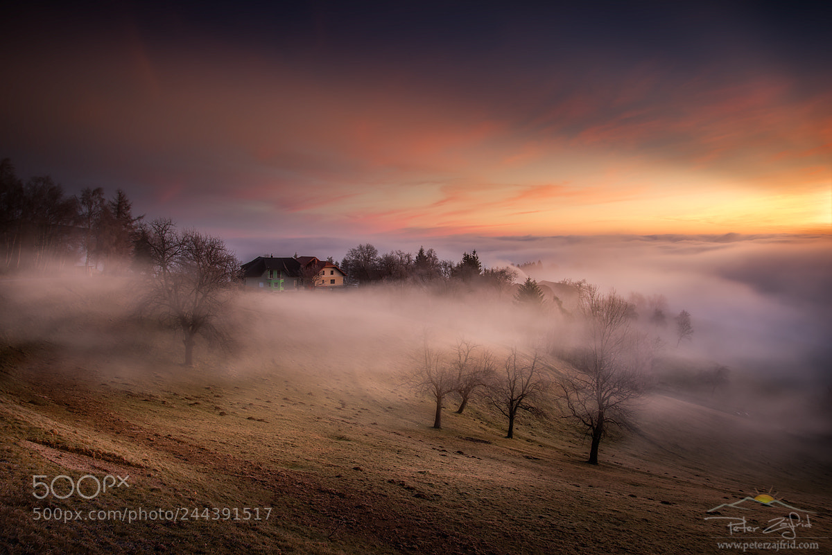 Nikon D810 sample photo. Fogged in photography