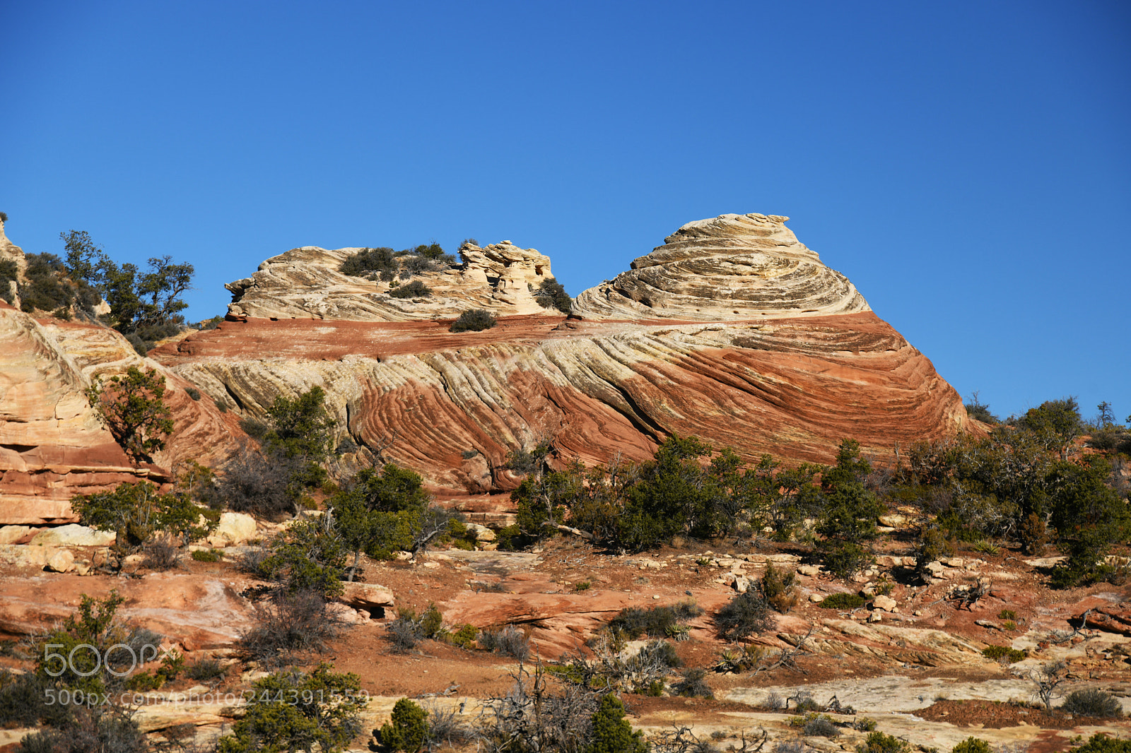 Nikon D850 sample photo. Crossbedding photography