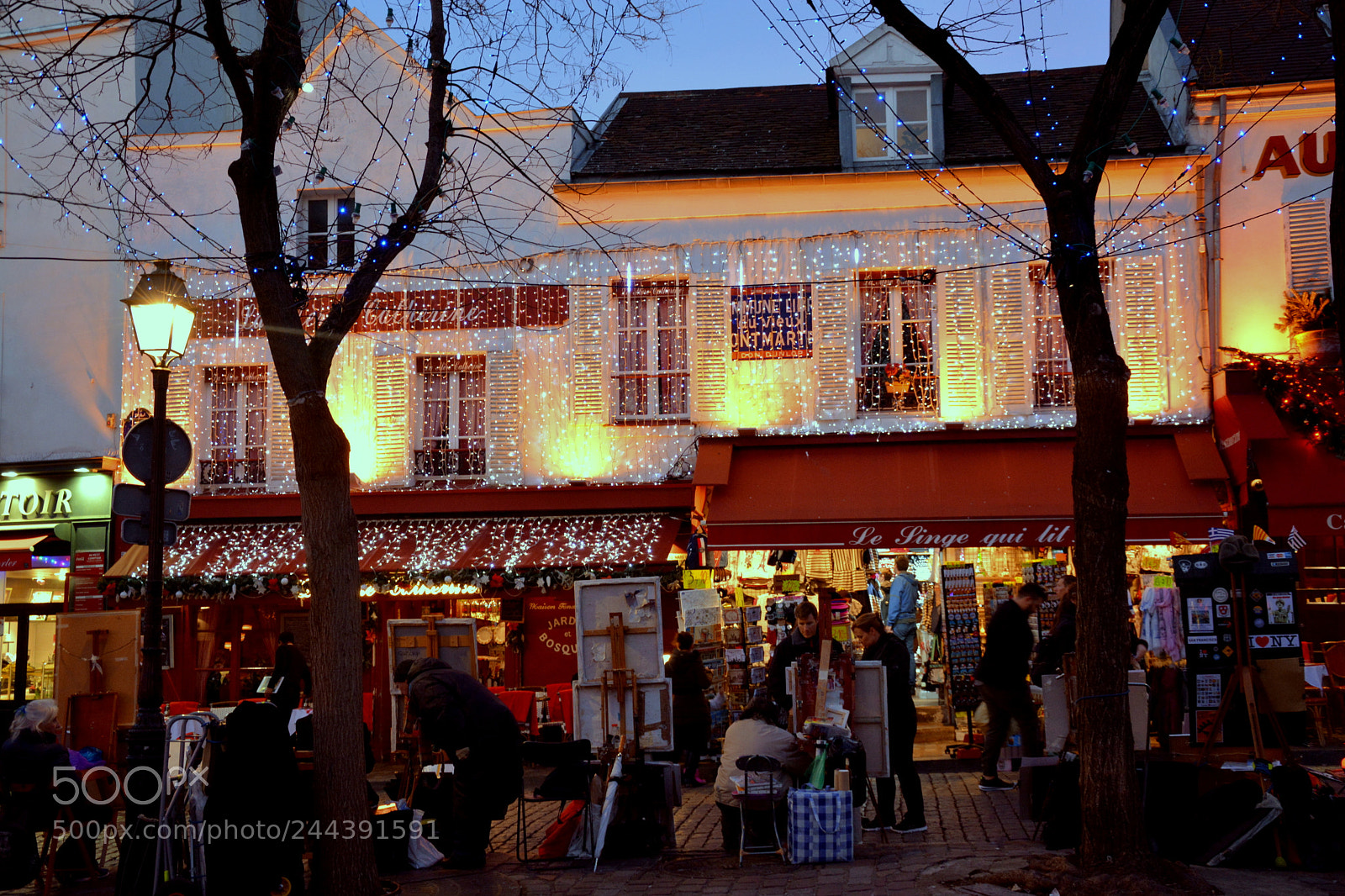 Nikon D7100 sample photo. Monmartre photography