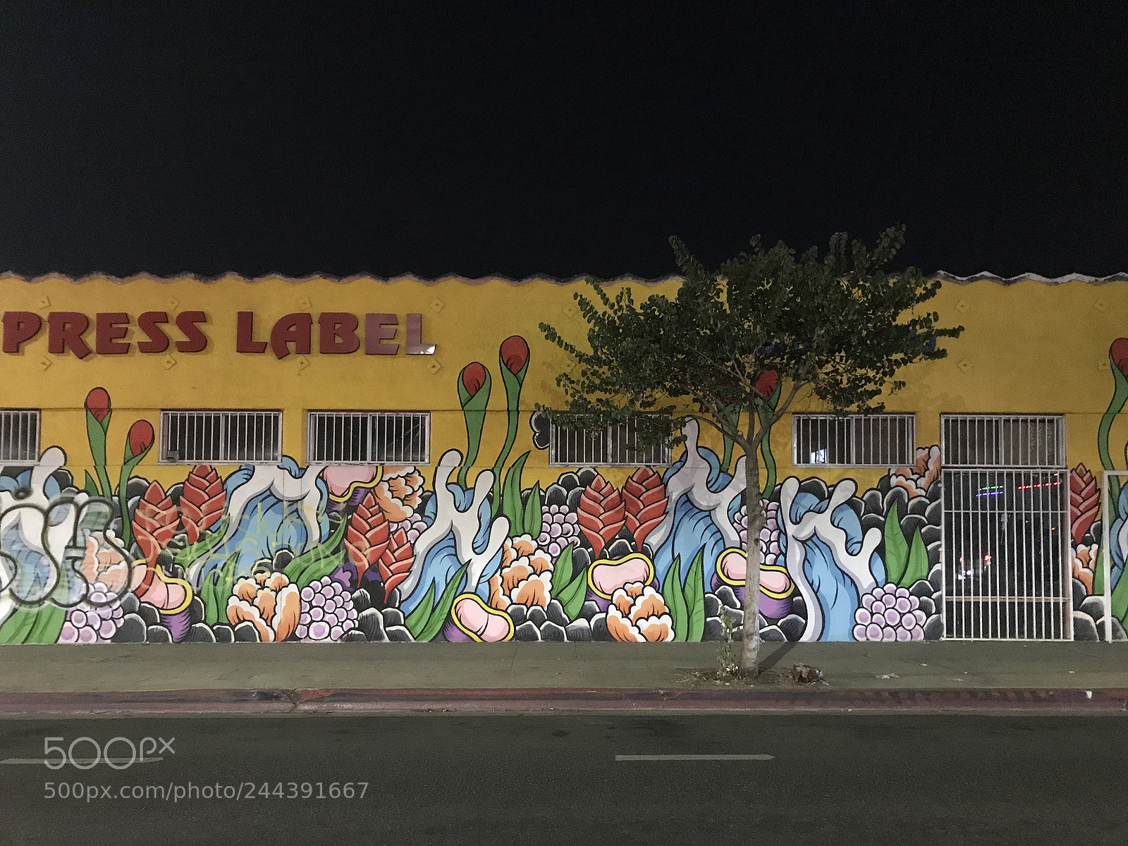 Apple iPhone 7 sample photo. Press label beverly blvd photography