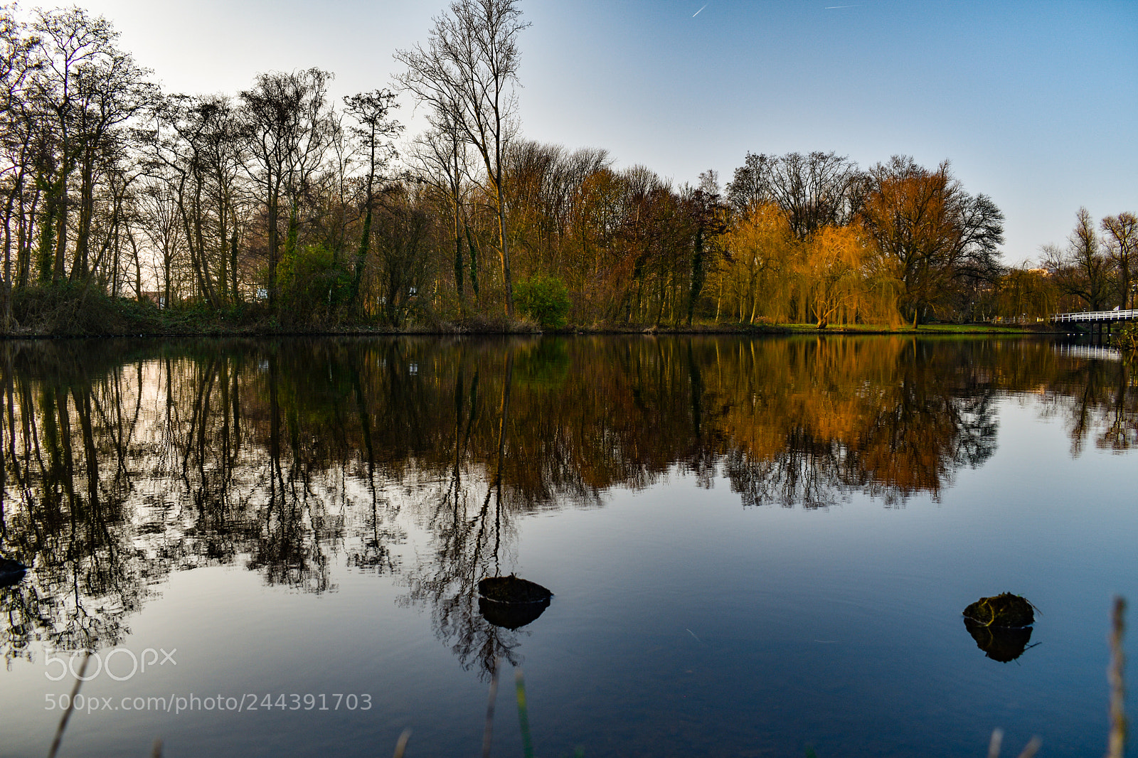 Nikon D5600 sample photo. Reflection in a dutch photography