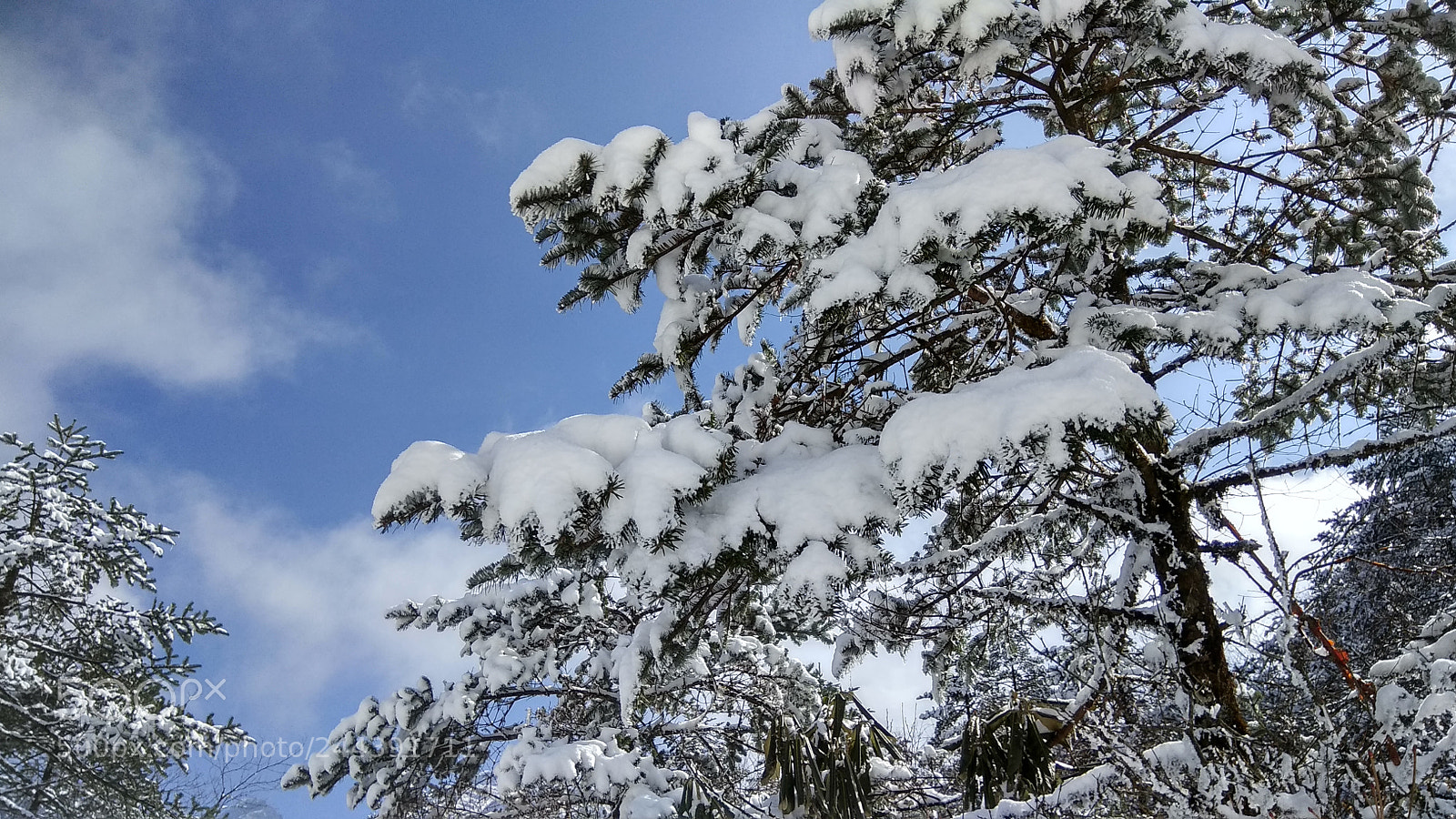Xiaomi Redmi Note 4 sample photo. Snow fall photography