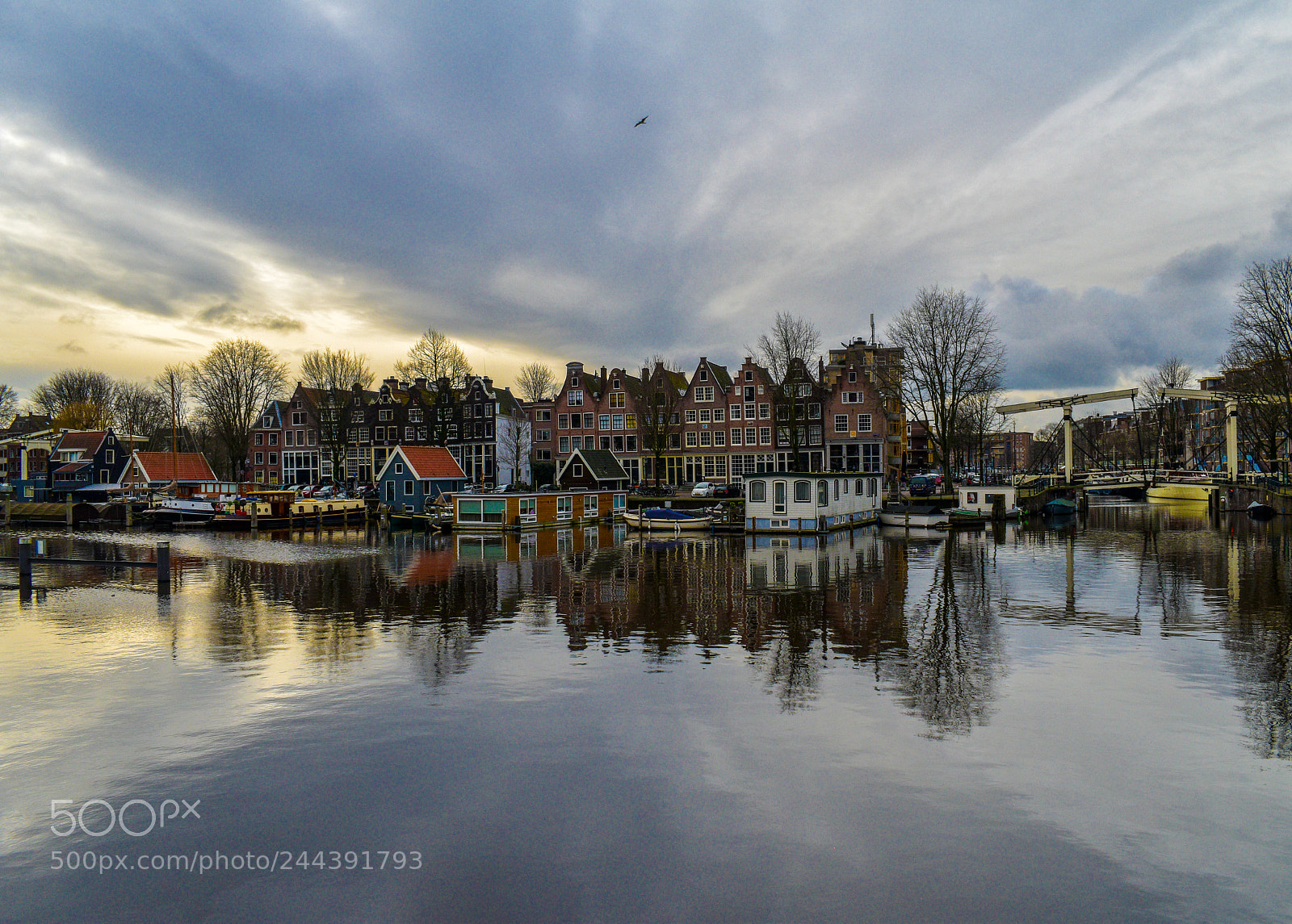 Nikon D5600 sample photo. Amsterdam marina photography