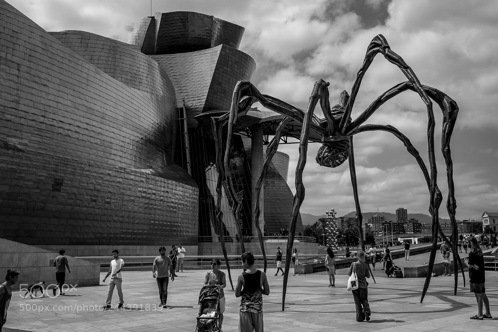 Fujifilm X-Pro1 sample photo. Aracnofobia photography