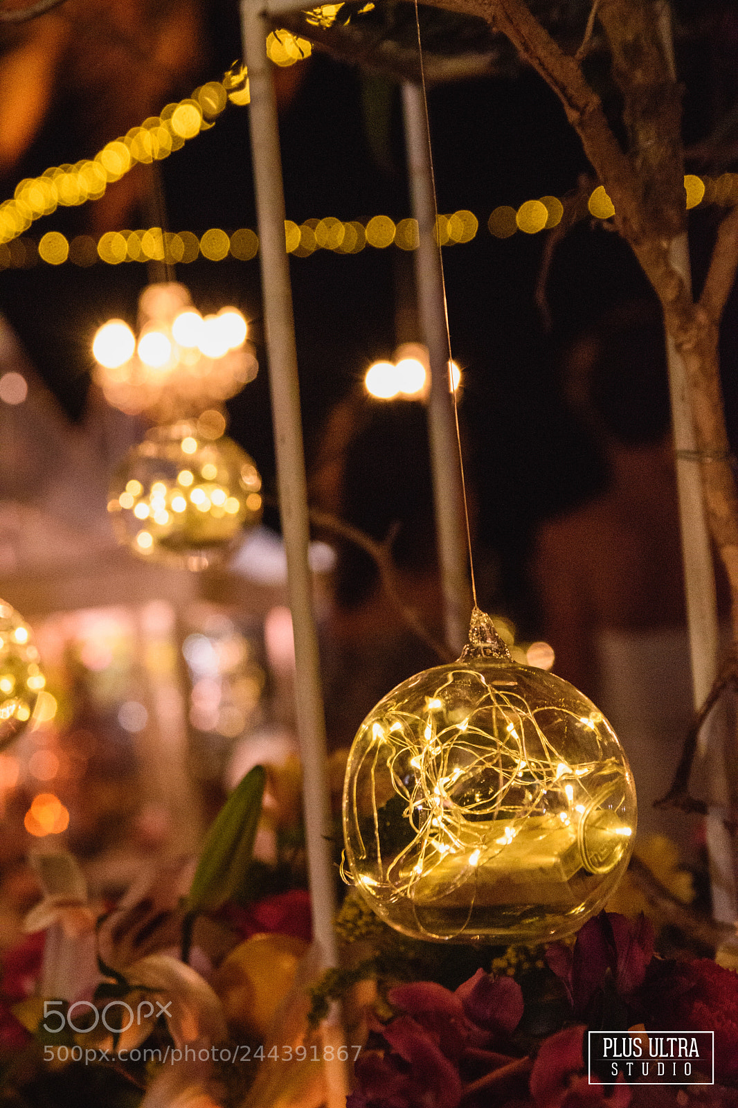 Nikon D5500 sample photo. Untitled photography