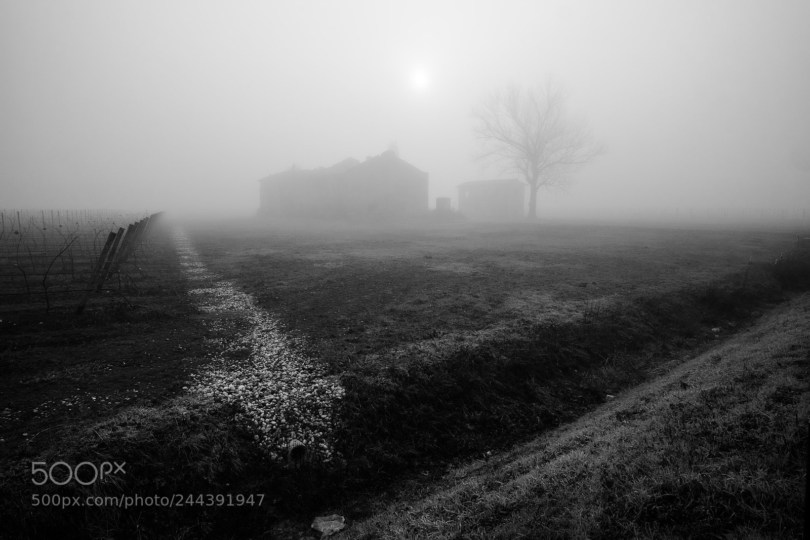 Fujifilm X-T10 sample photo. Landscape bw photography