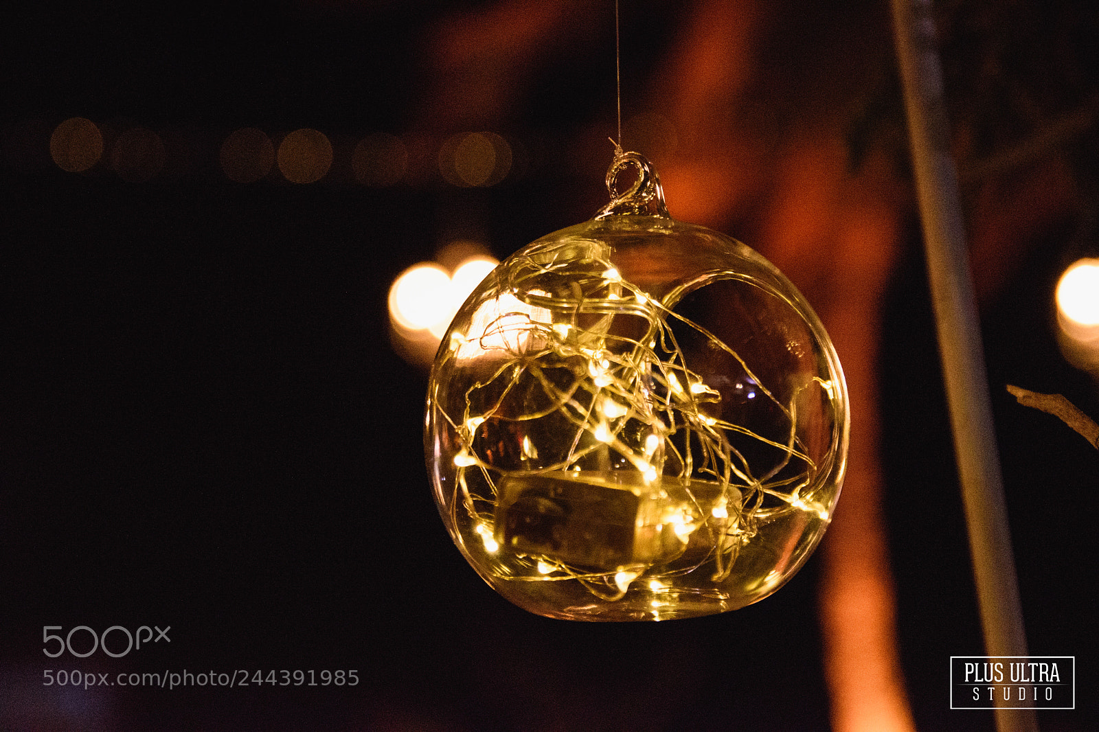 Nikon D5500 sample photo. Untitled photography