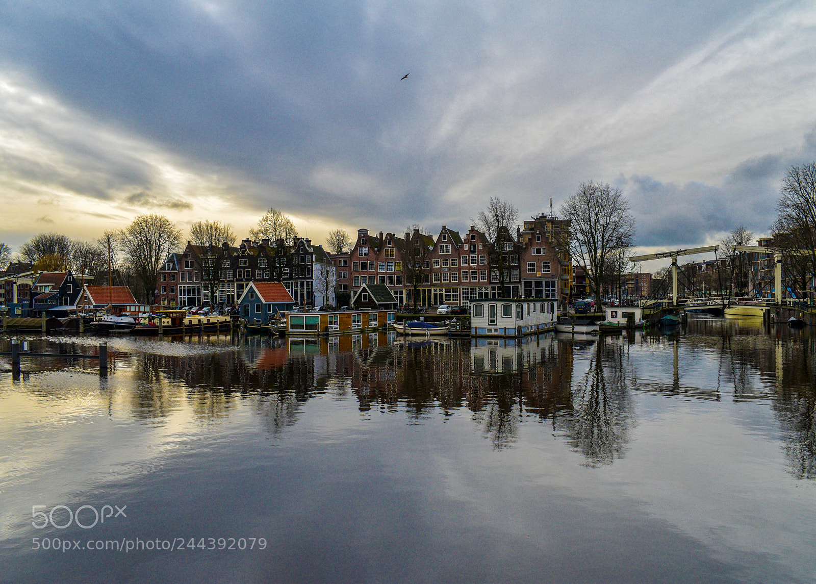 Nikon D5600 sample photo. Amsterdam marina photography