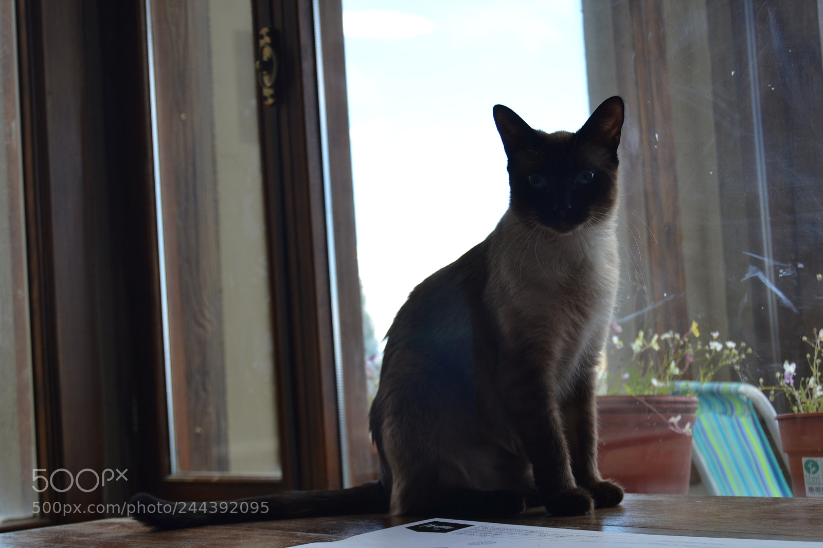 Nikon D3100 sample photo. Inha photography