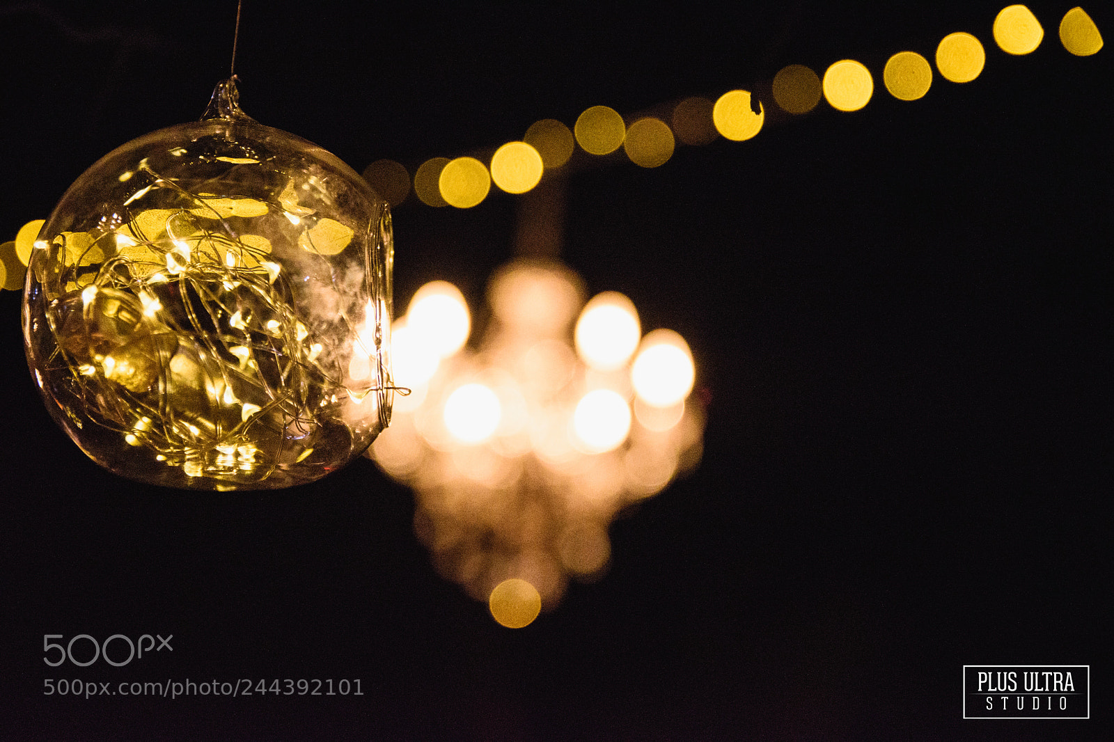 Nikon D5500 sample photo. Untitled photography