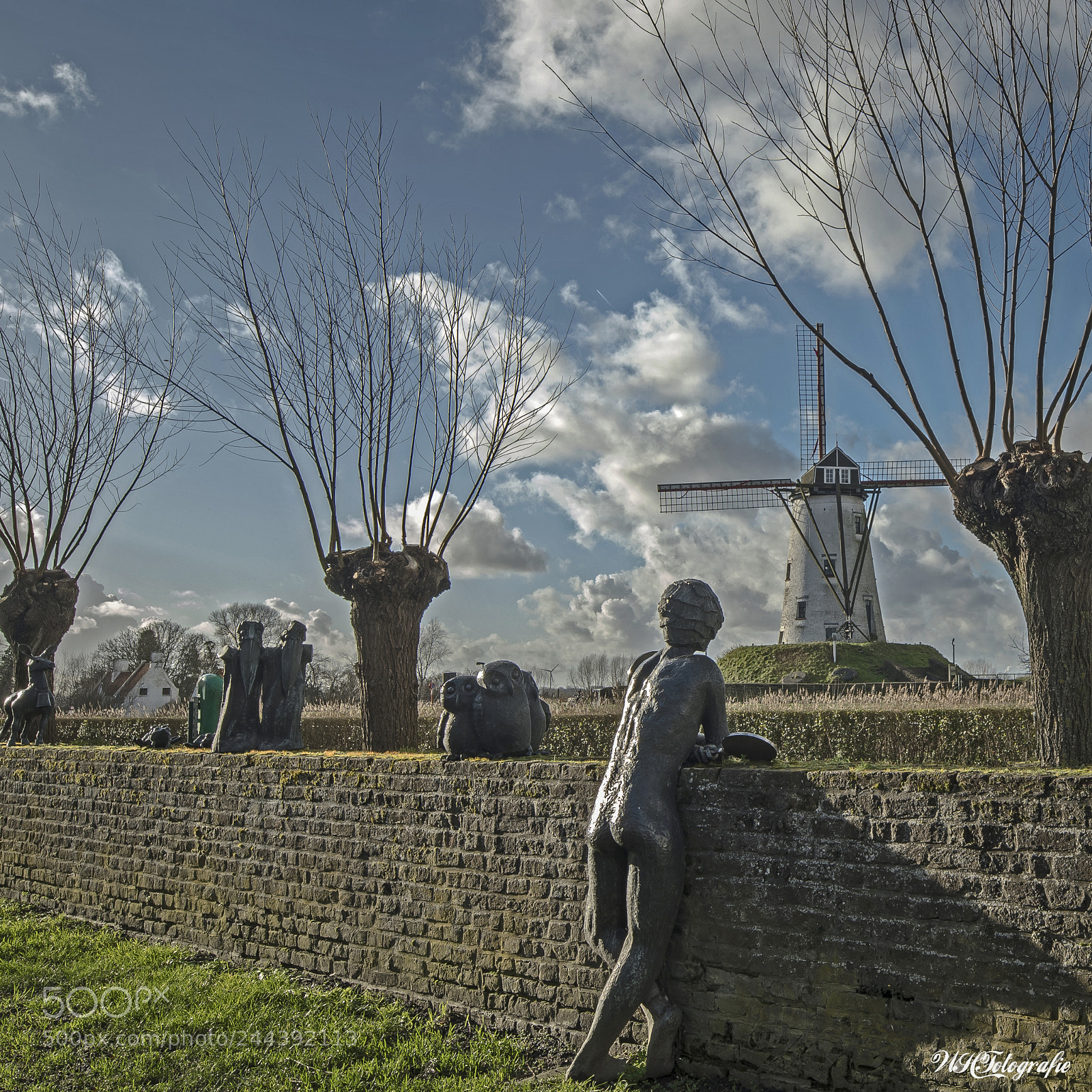 Nikon D500 sample photo. Damme photography