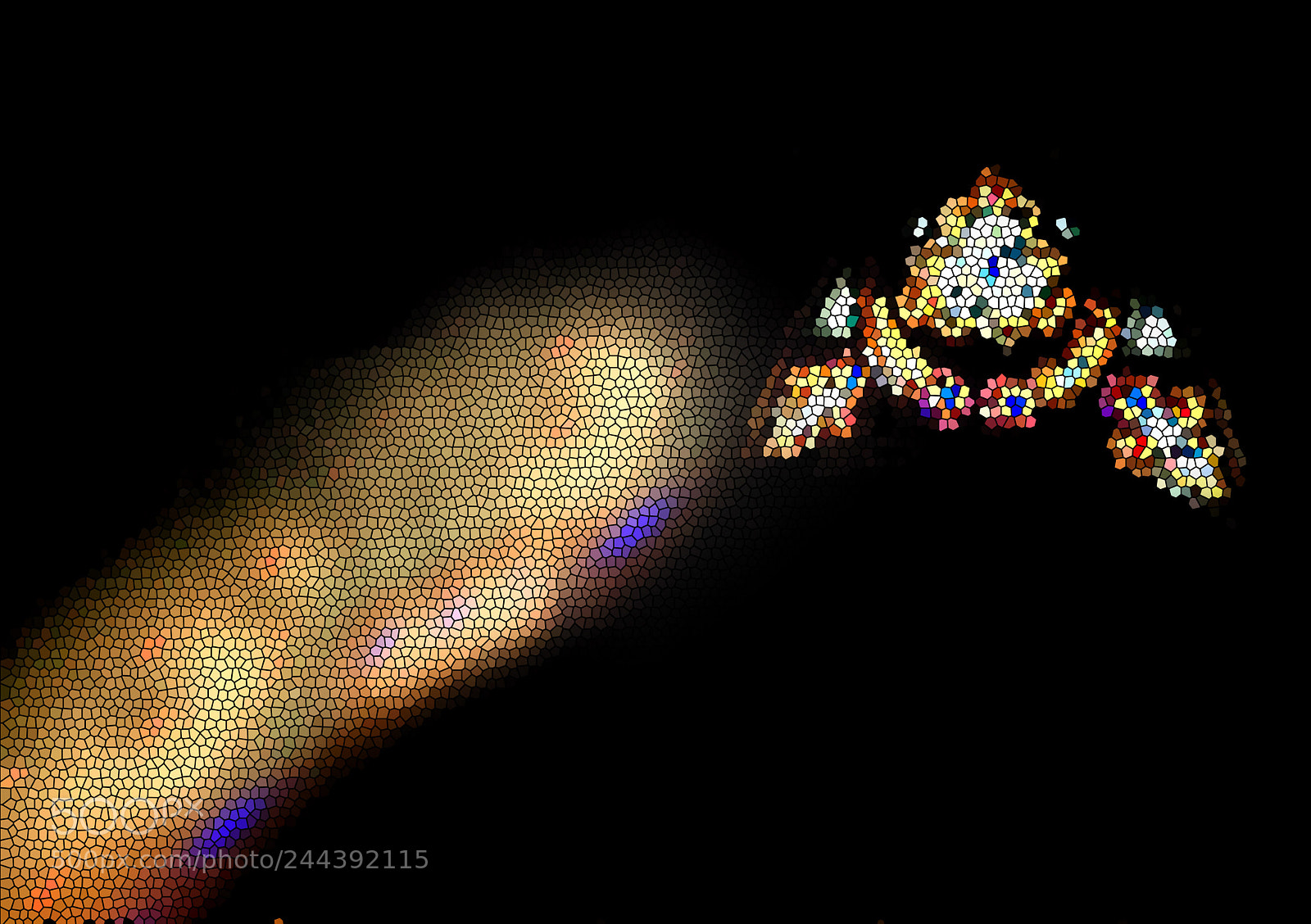 Olympus TG-5 sample photo. Stained glass window photography