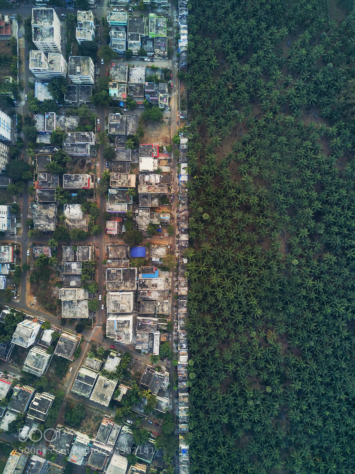 DJI FC220 sample photo. Distinguished similarities. photography