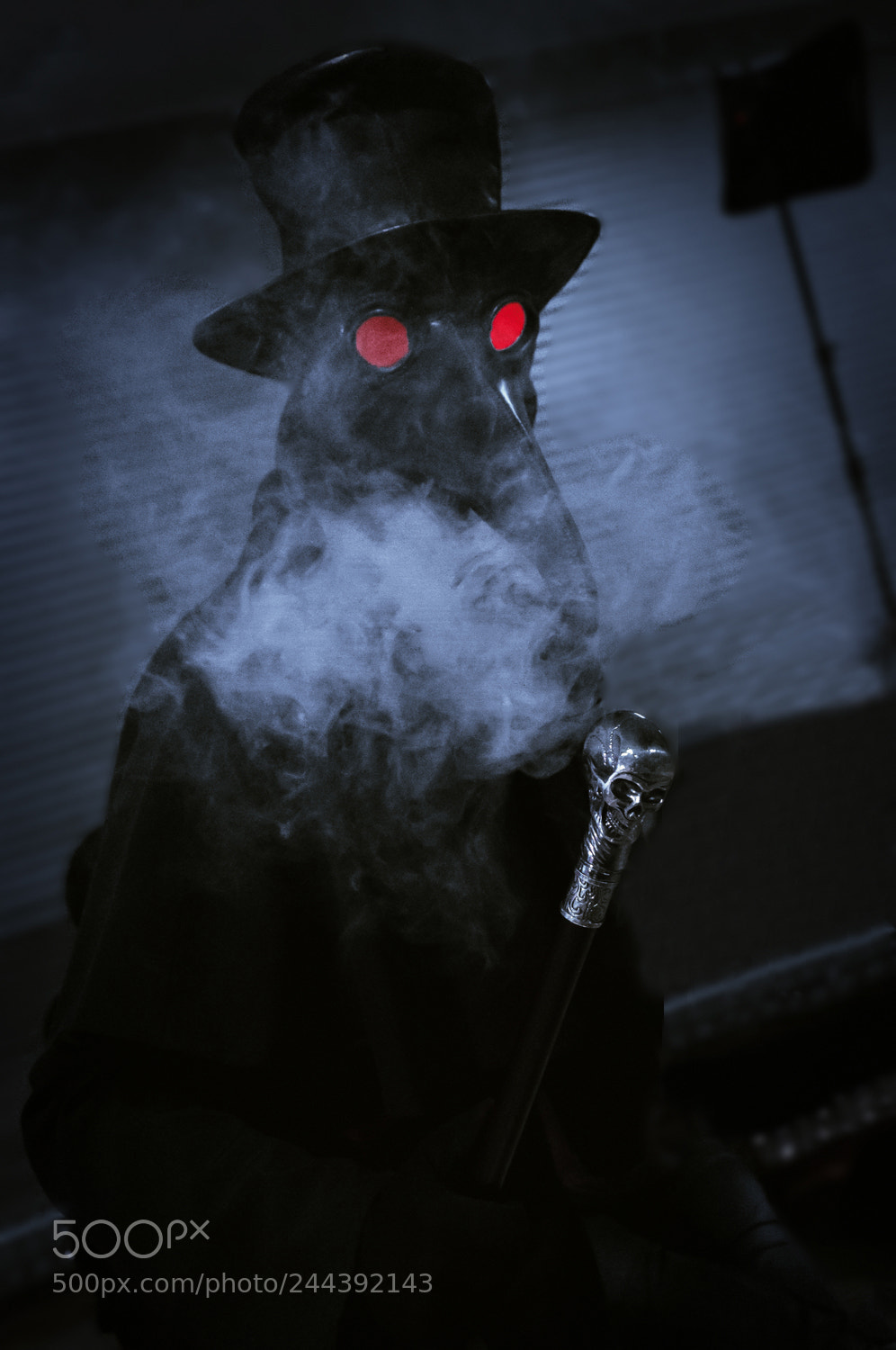Nikon D90 sample photo. The plague doctor photography