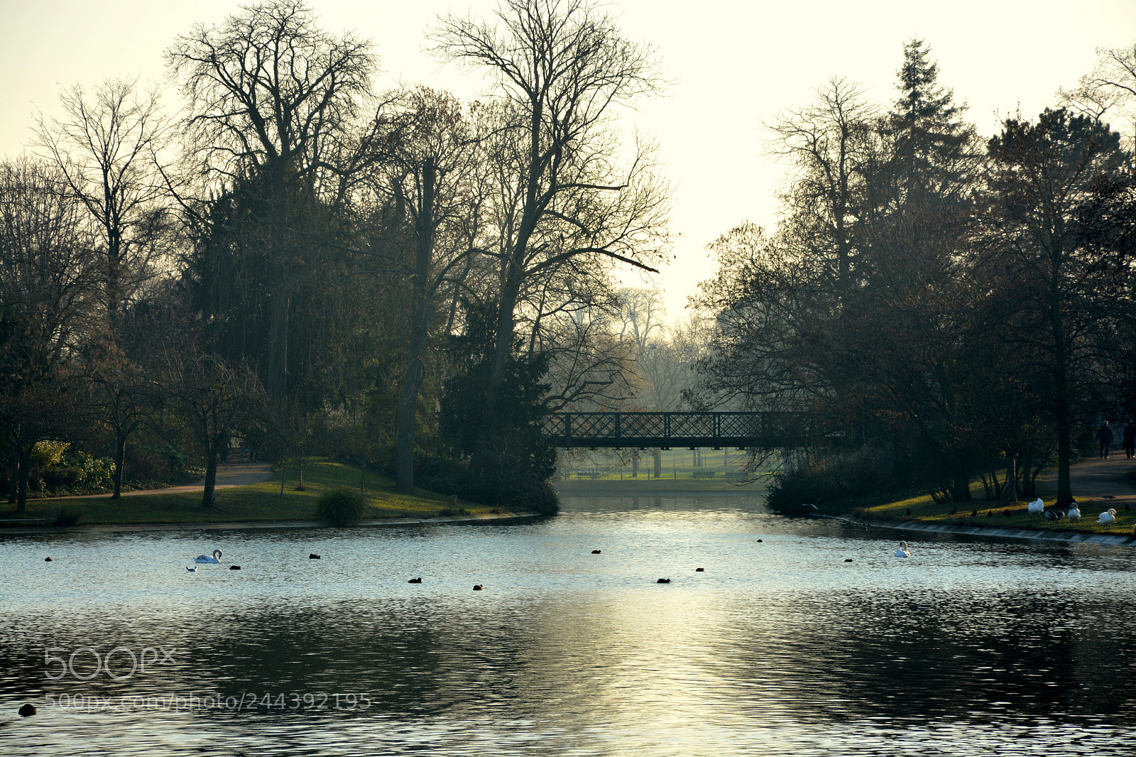 Nikon D7100 sample photo. Lake photography
