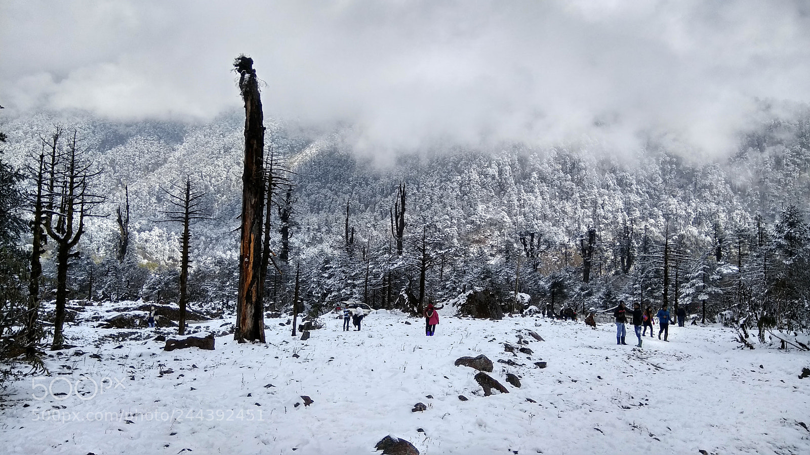 Xiaomi Redmi Note 4 sample photo. Snow @yumthang photography
