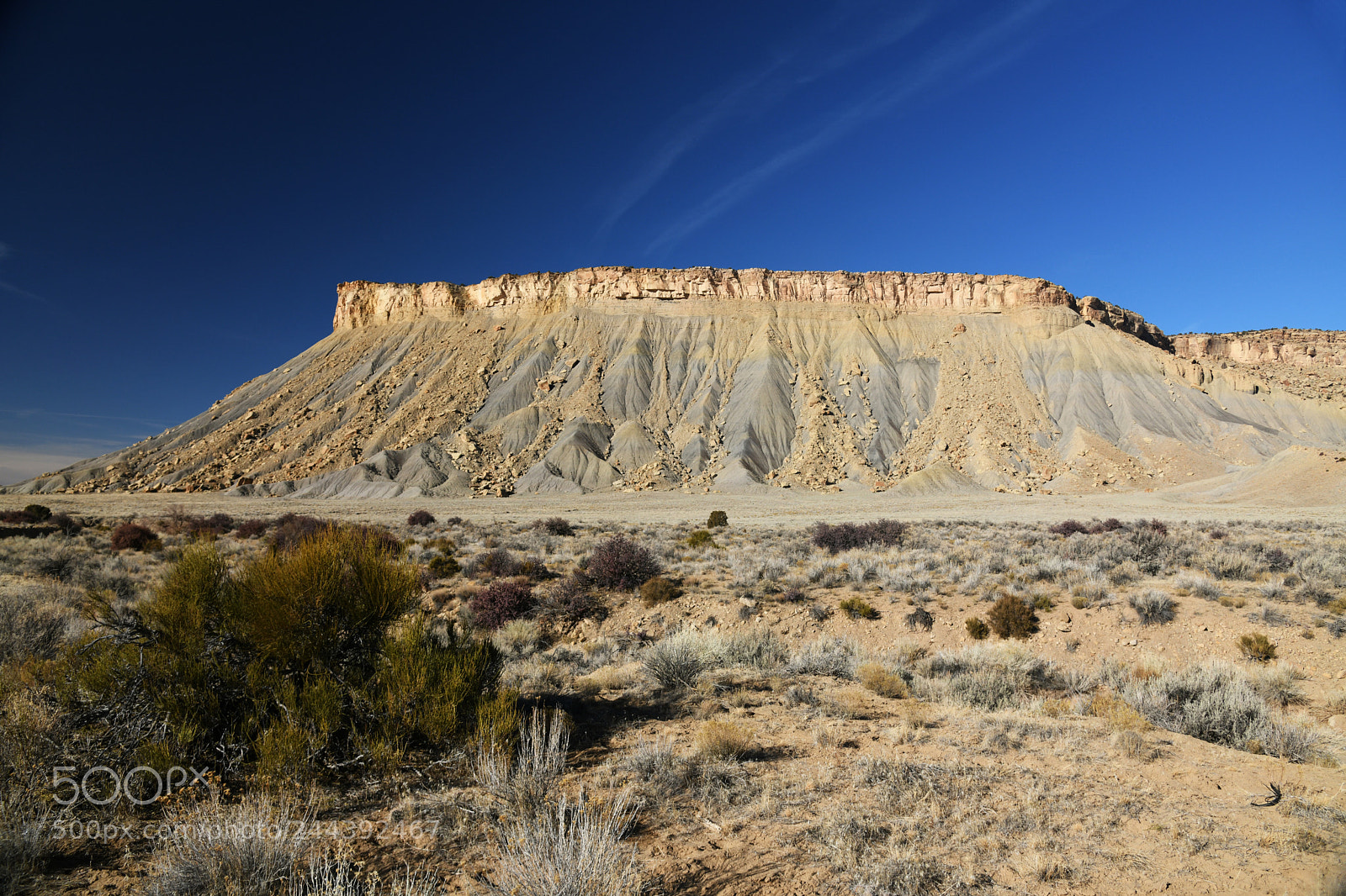 Nikon D850 sample photo. Mancosfmciscodesert photography