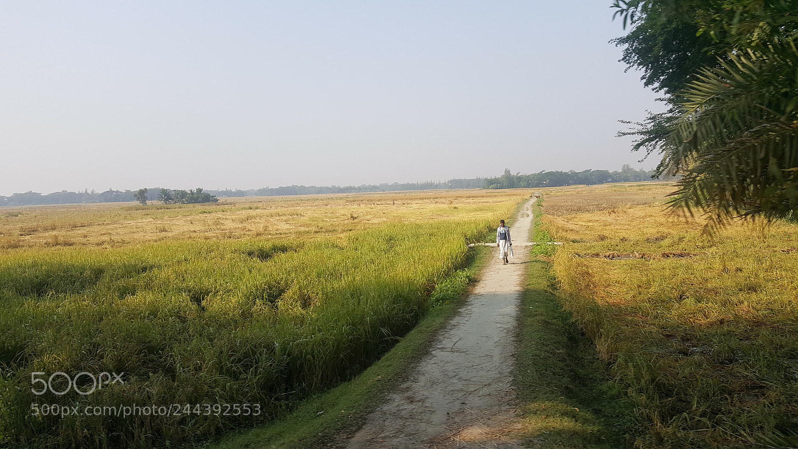 Samsung Galaxy Note5 sample photo. Life with horizon.... photography