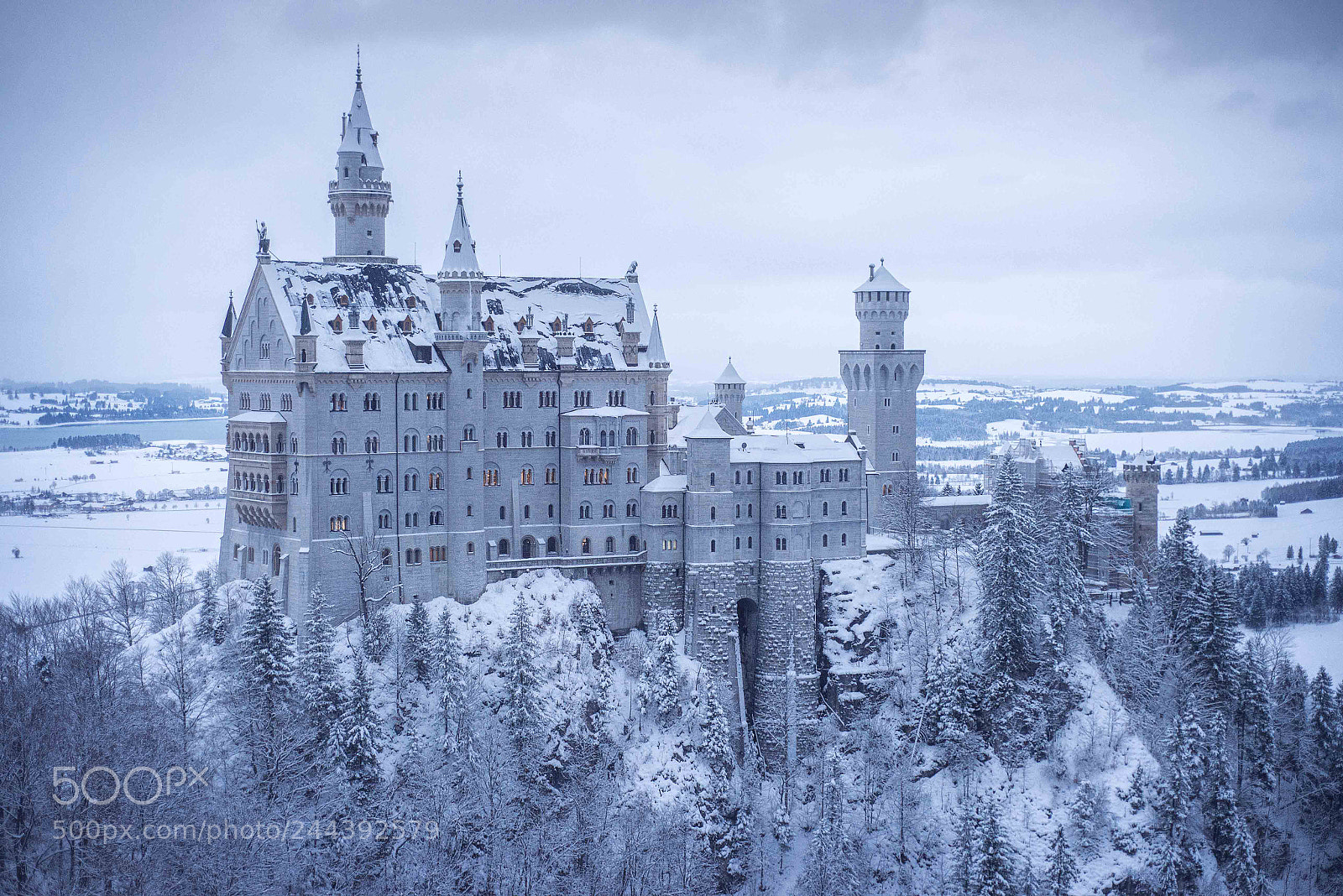 Nikon D610 sample photo. Neuschwanstein photography