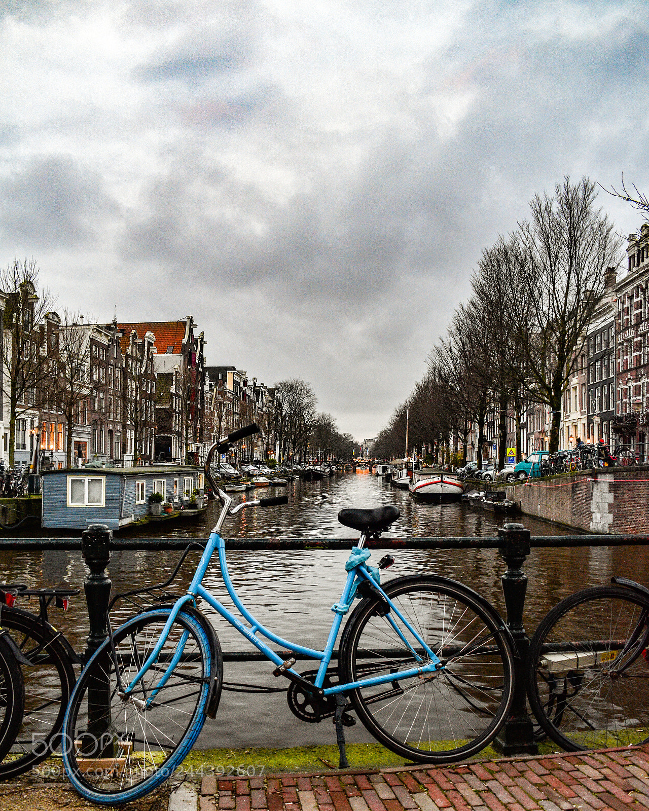 Nikon D5600 sample photo. Amsterdam blue bike photography
