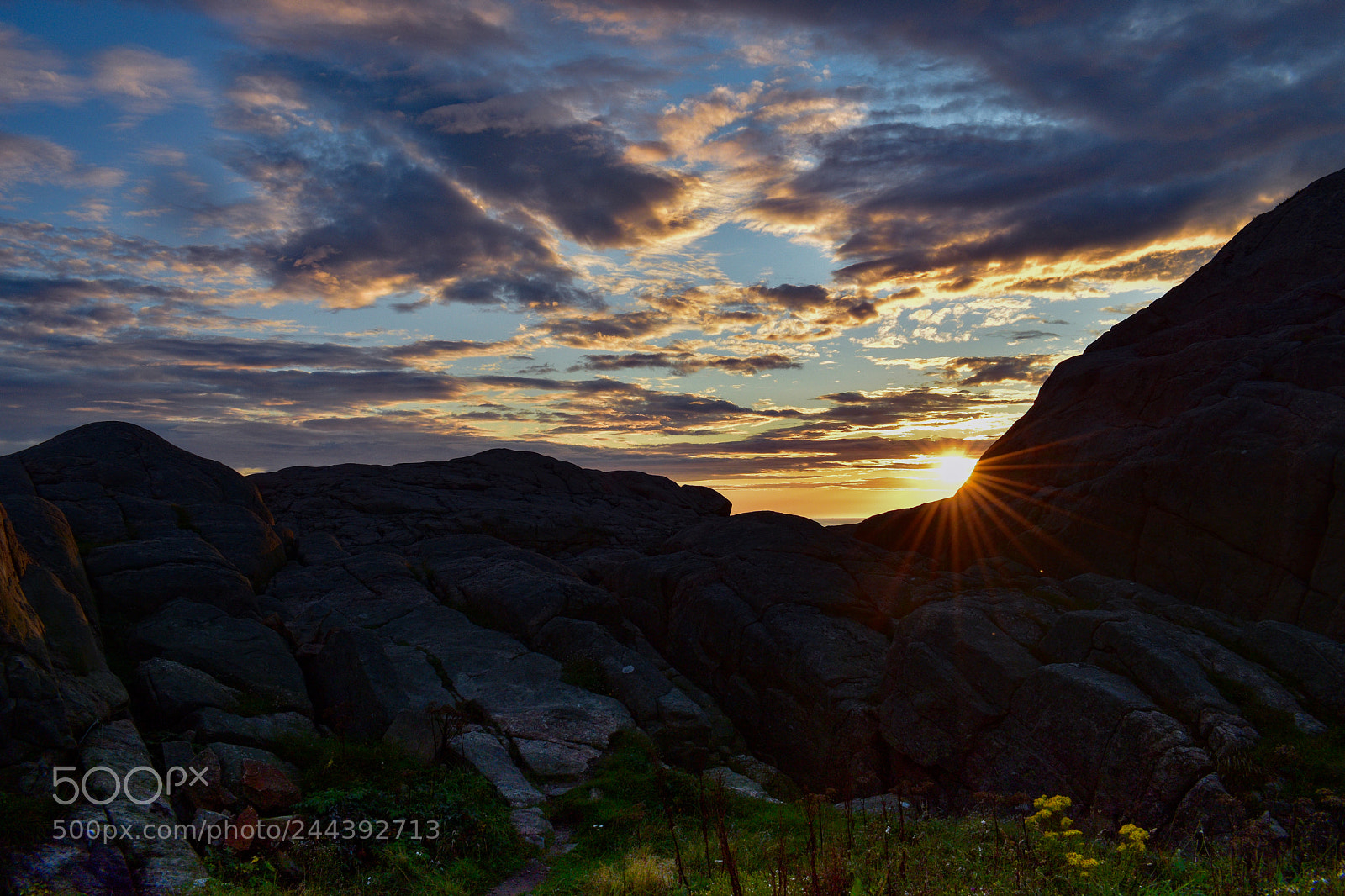 Nikon D5600 sample photo. Sunset in norway photography