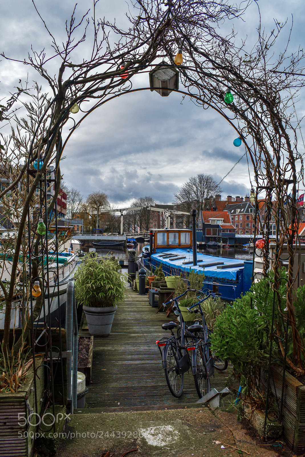 Nikon D5600 sample photo. Amsterdam marina photography