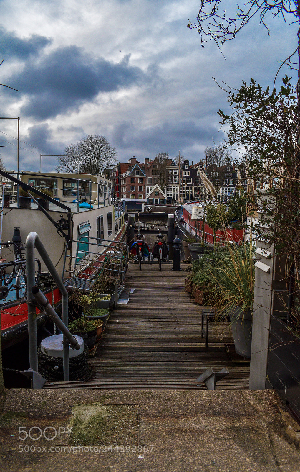 Nikon D5600 sample photo. Amsterdam marina photography