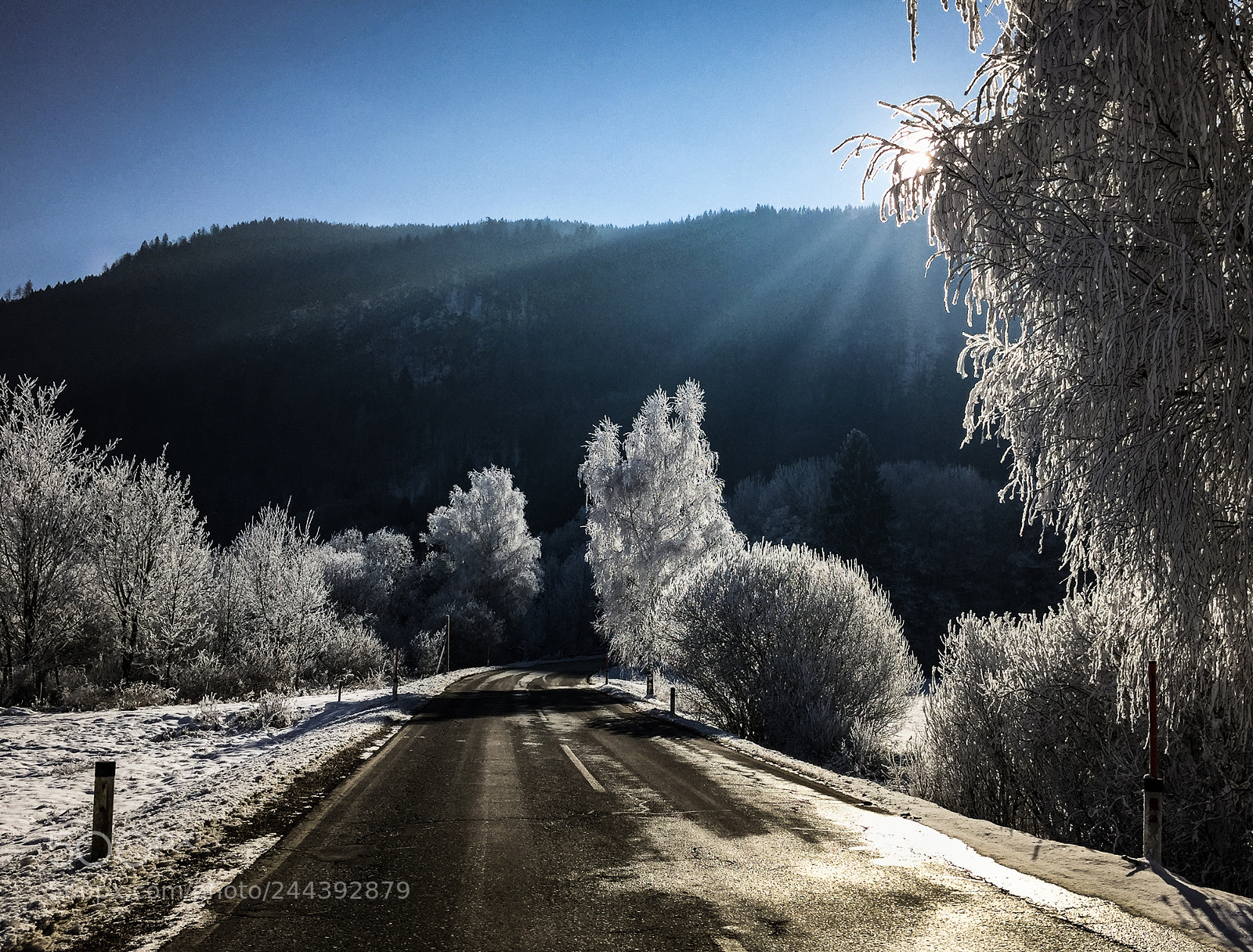 Apple iPhone 6 sample photo. White frost in the photography