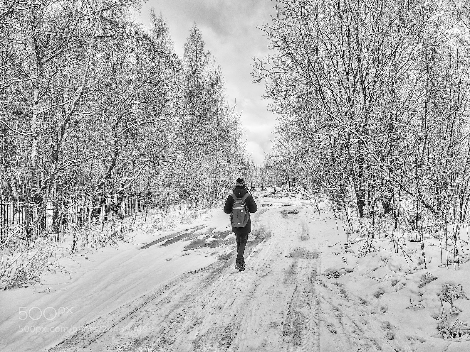 Xiaomi Mi A1 sample photo. Winter walk photography