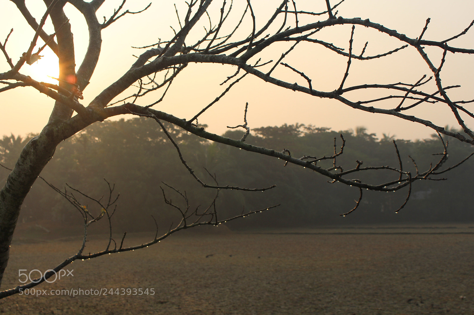 Canon EOS 700D (EOS Rebel T5i / EOS Kiss X7i) sample photo. Heaven drop... photography