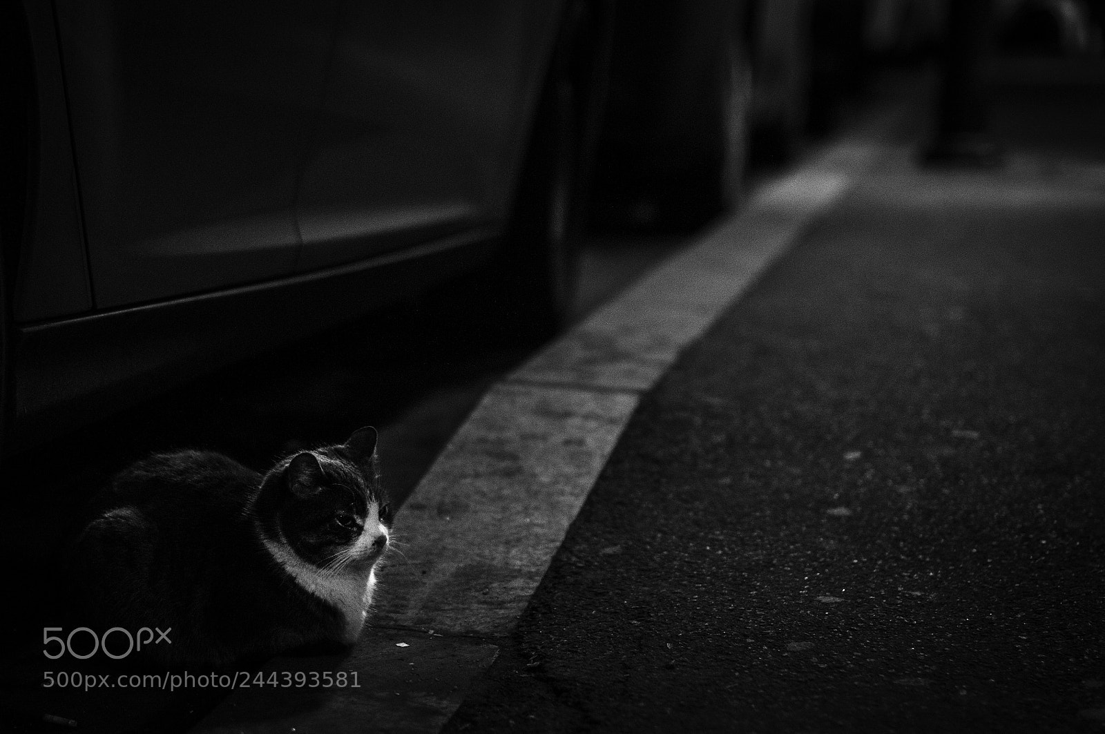 Nikon D300S sample photo. Tuesday night photography