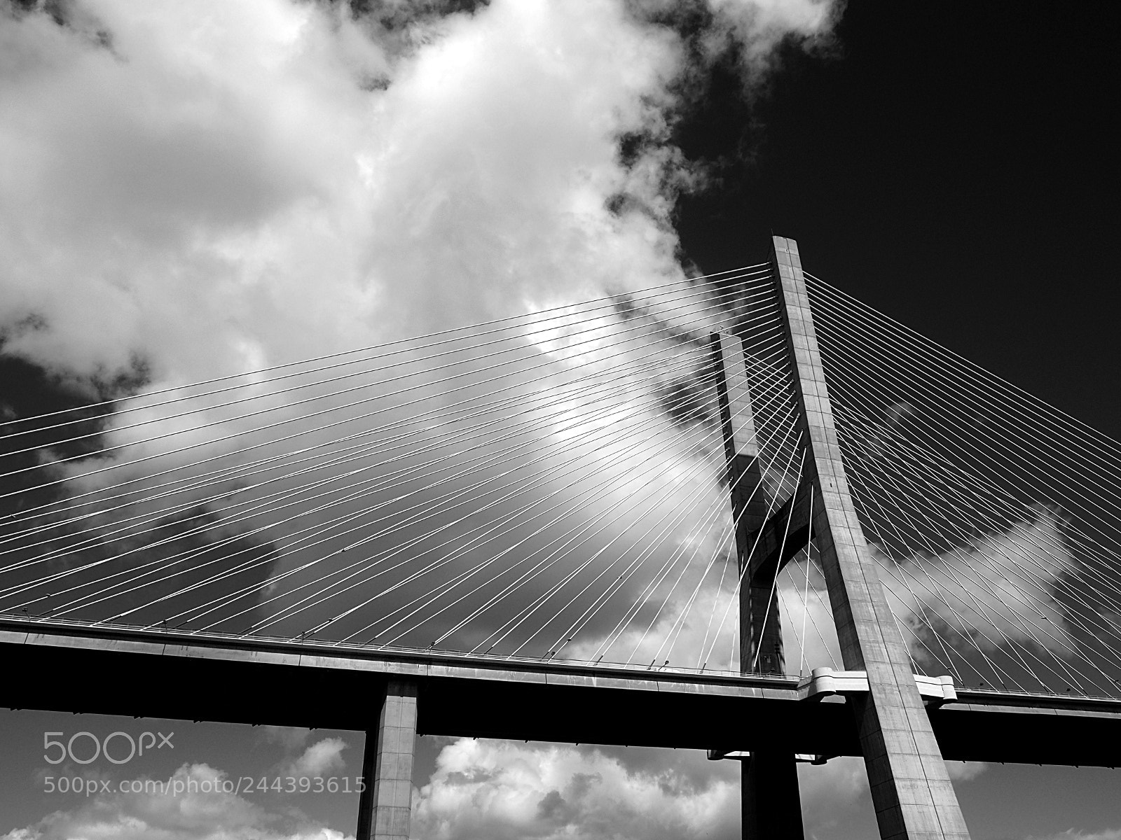 Olympus OM-D E-M10 II sample photo. Vasco da gama bridge photography