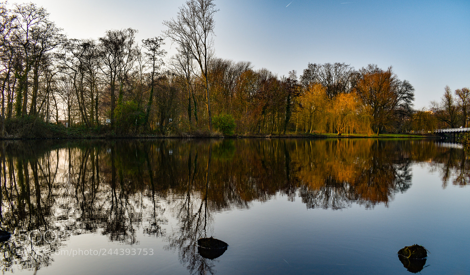 Nikon D5600 sample photo. Reflection in a dutch photography
