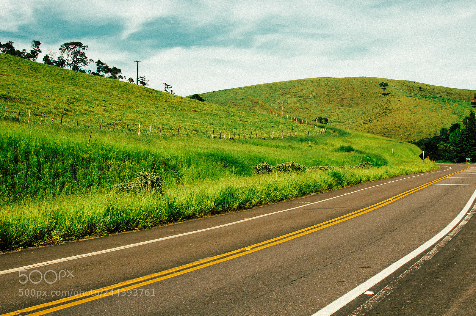 Nikon D300 sample photo. Elw photography