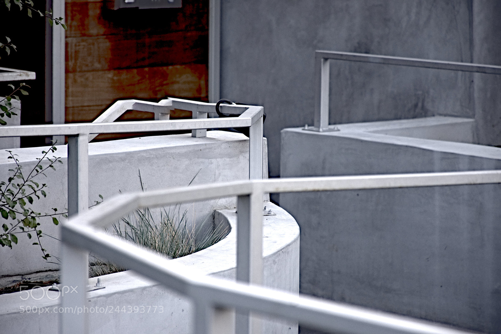 Nikon D7200 sample photo. Untitled photography