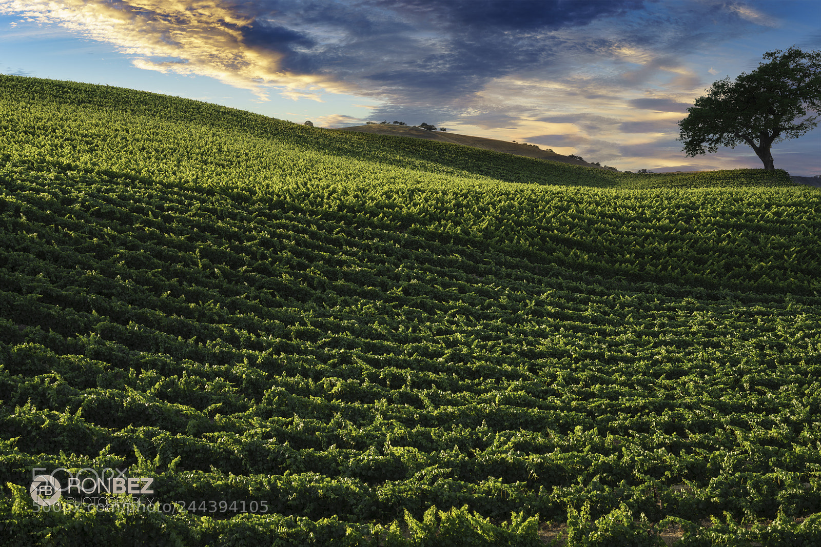 Sony a7R II sample photo. Rolling flow photography