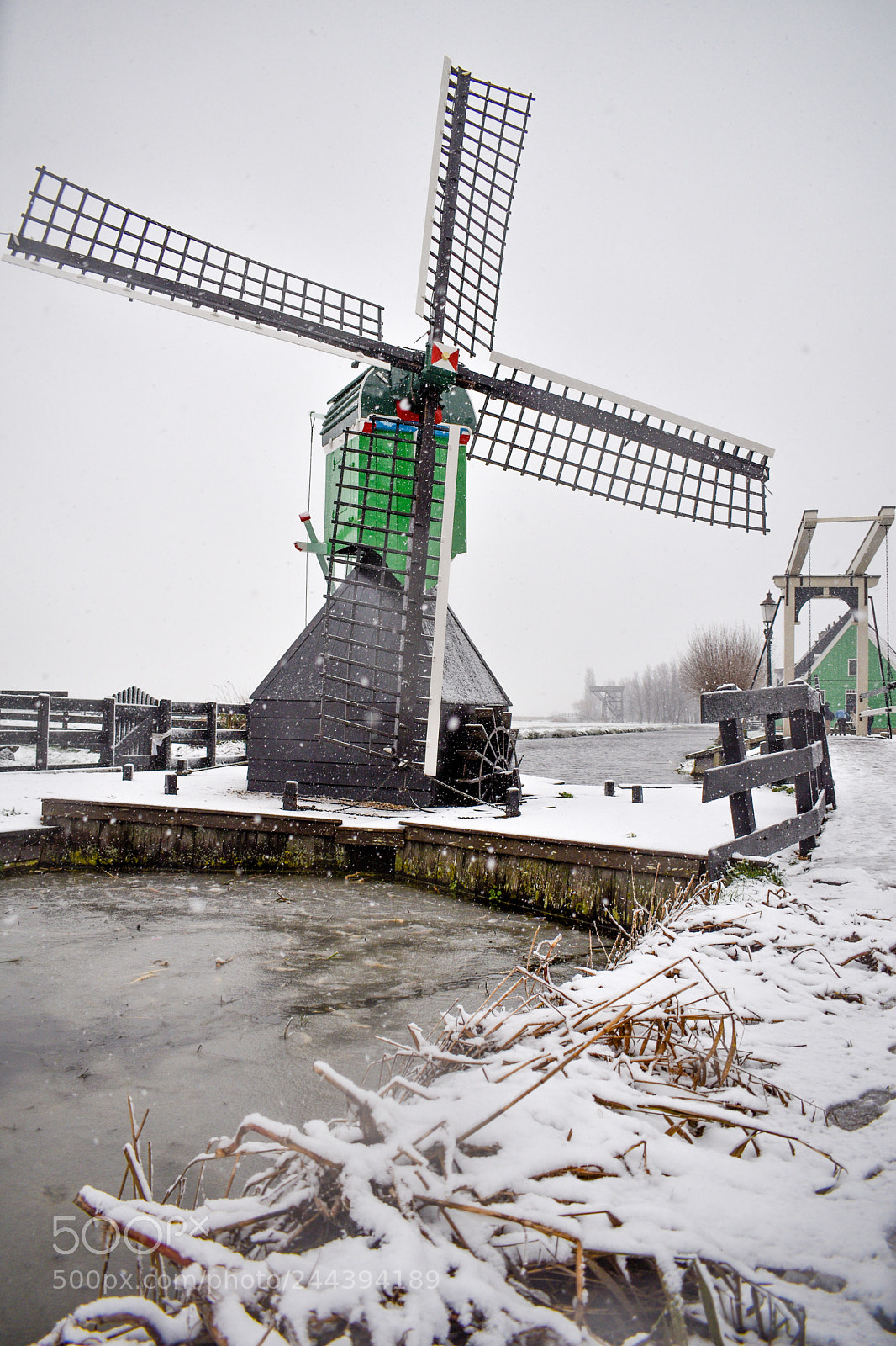 Nikon D5600 sample photo. Zaanse schans, covered in photography