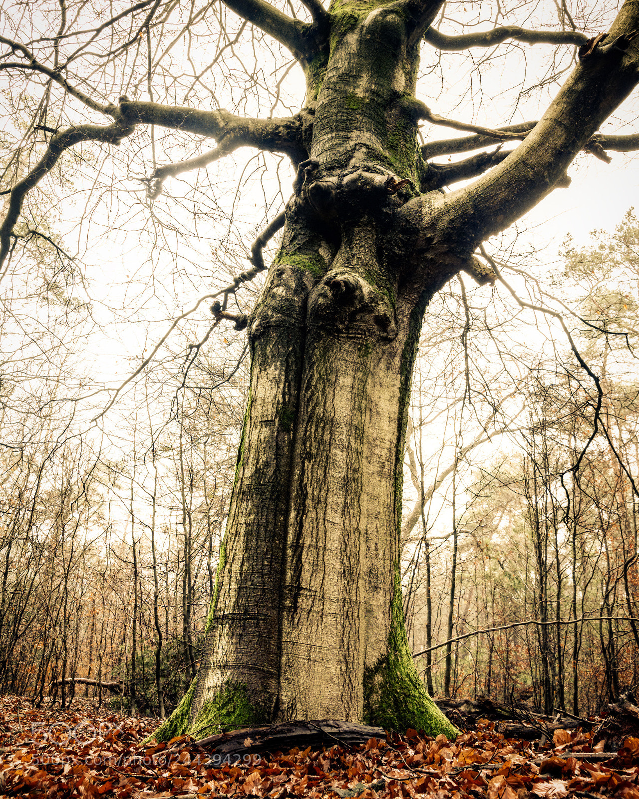 Nikon D7100 sample photo. Just because you found photography