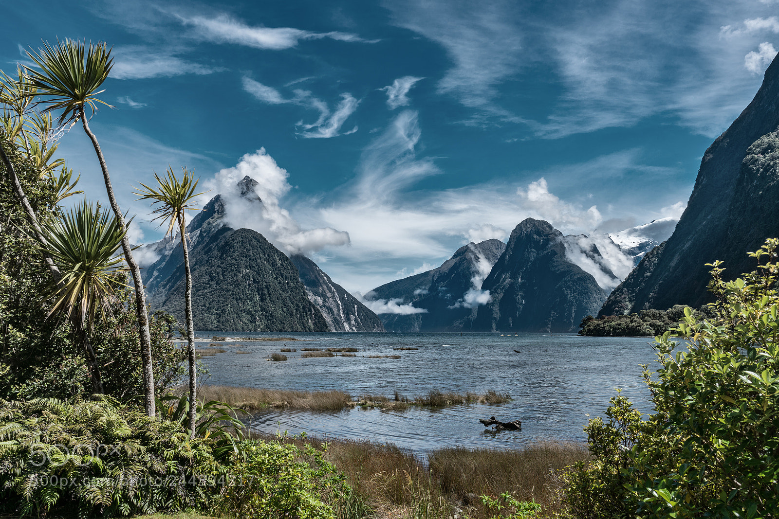Sony a7R II sample photo. Milford sound photography