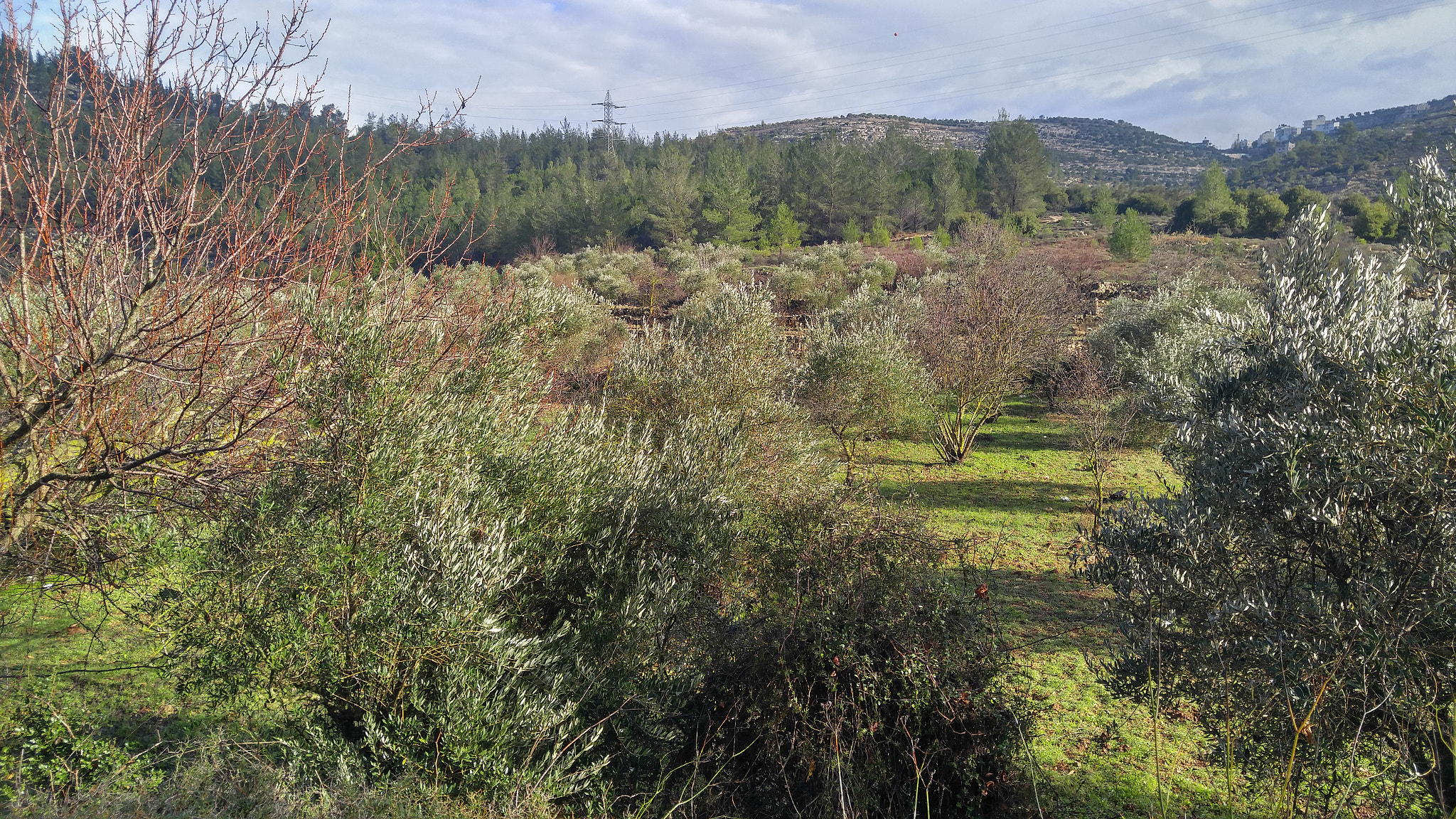 LG V10 sample photo. Hdr photography
